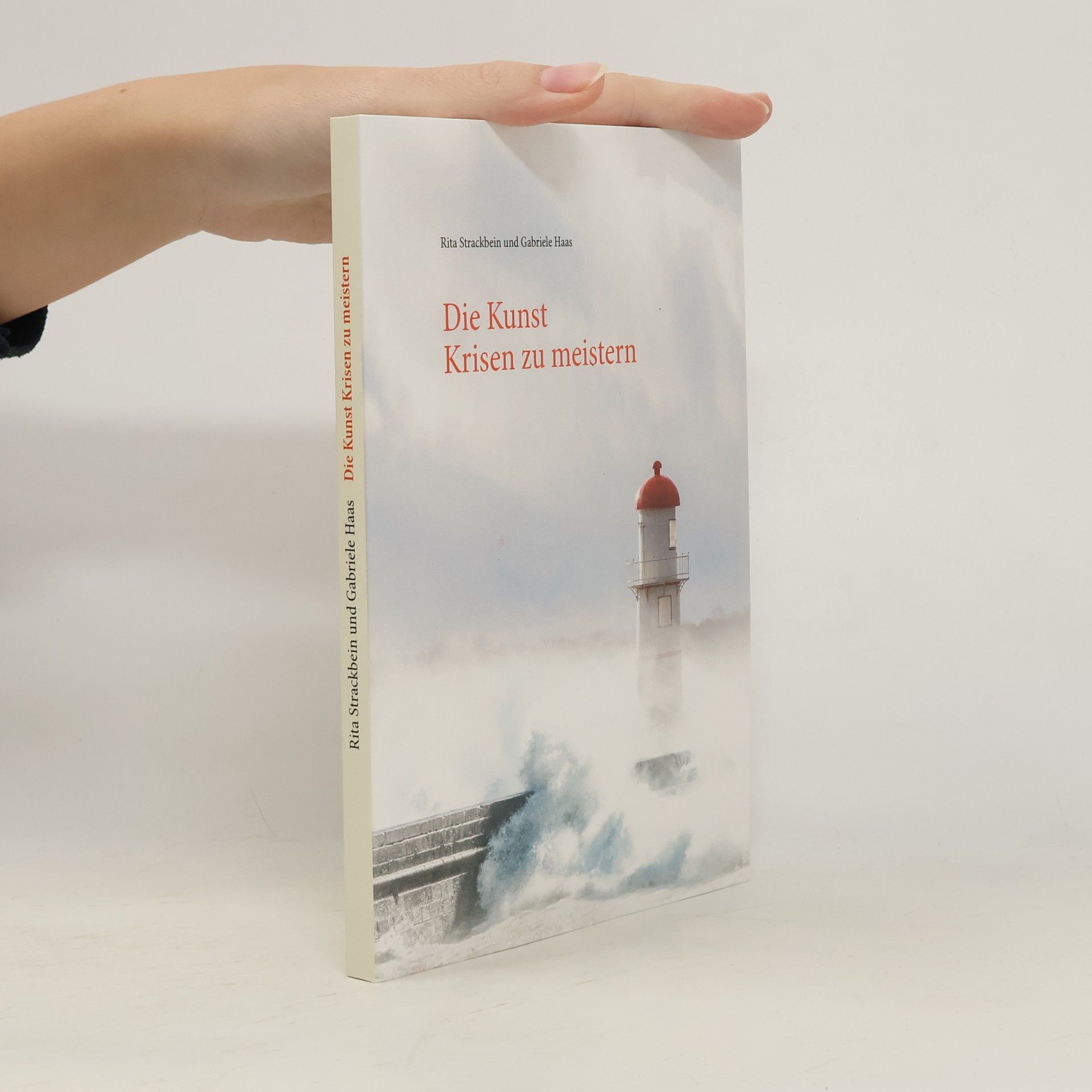 Rita Strackbein Die Kunst Krisen zu meistern