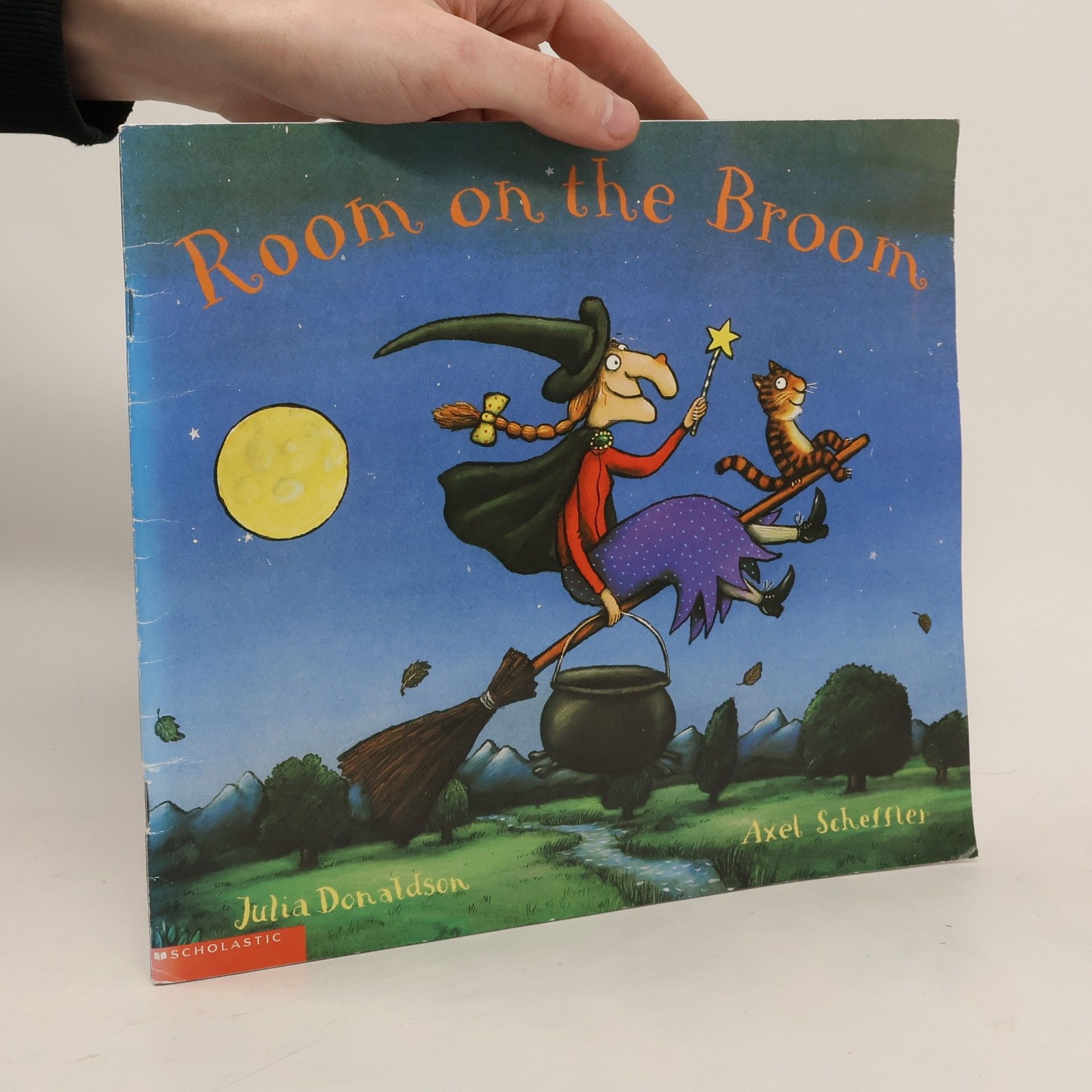 Julia Donaldson Room on the Broom