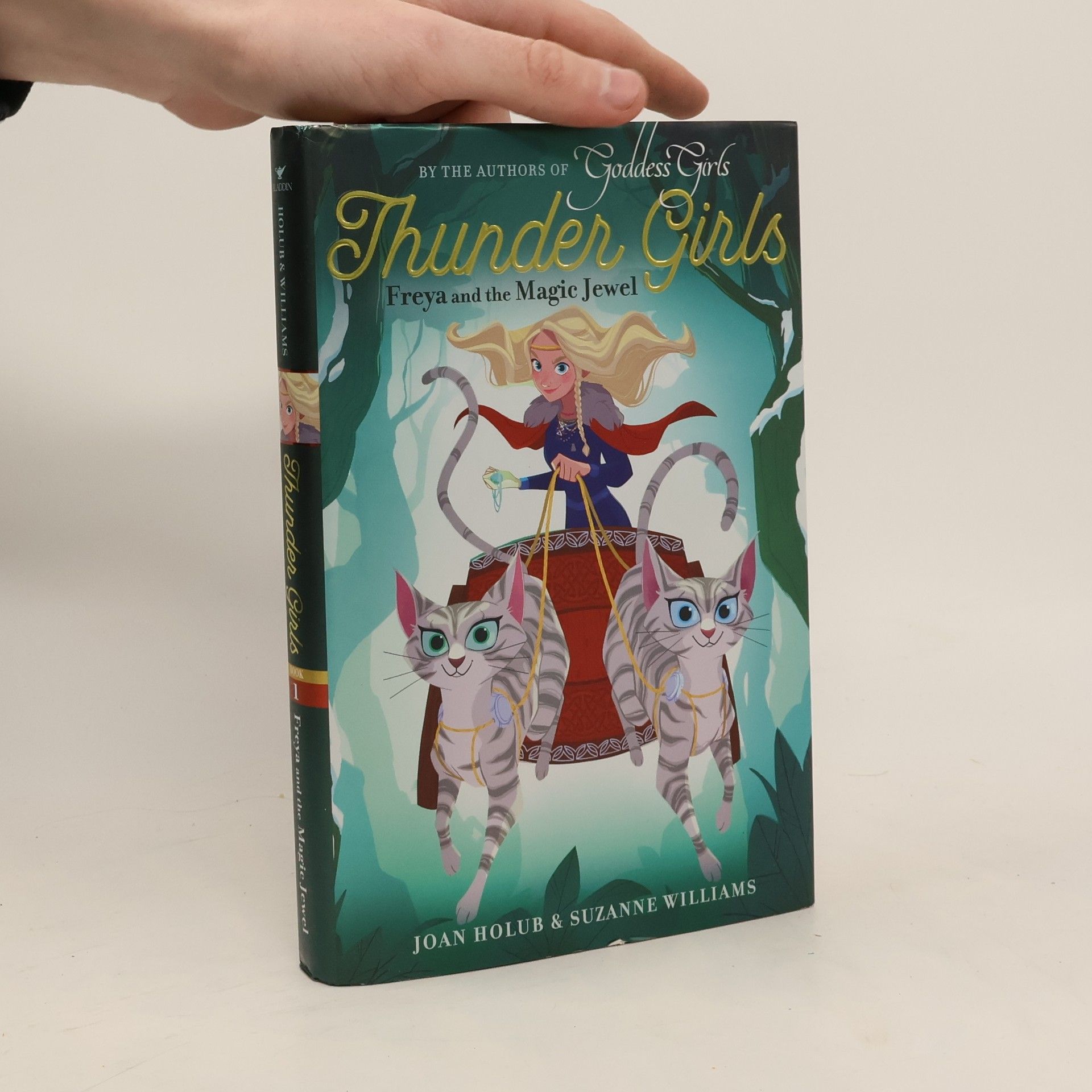 Joan Holub Freya and the Magic Jewel