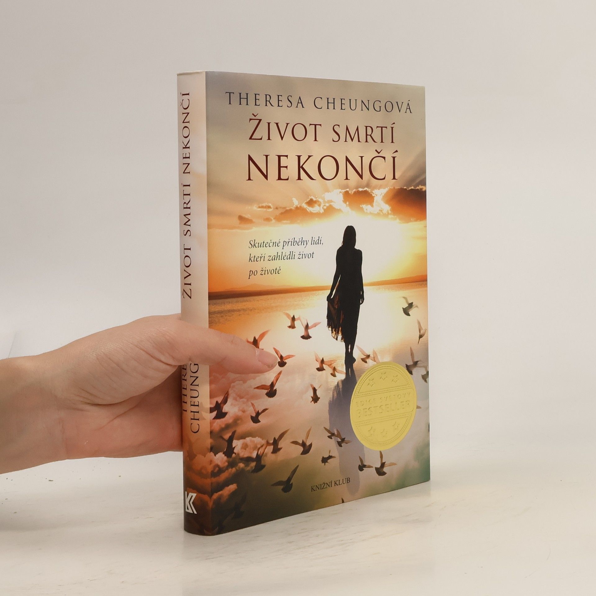 Theresa Francis-Cheung Život smrtí nekončí : Skutečné příběhy lidí, kteří zahlédli život po životě