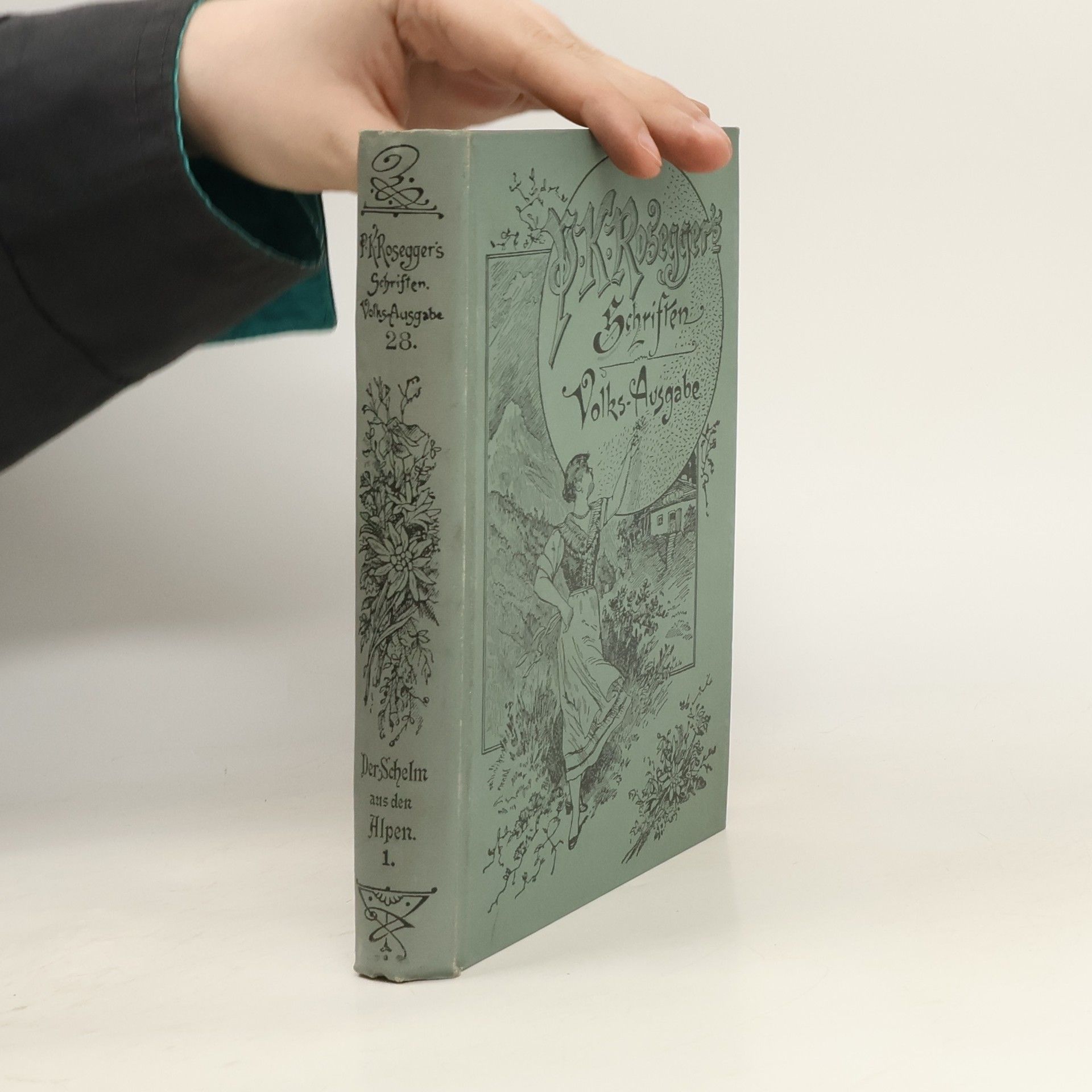 Peter Rosegger P. K. Rosegger´s Schriften 28. Der Schelm aus den Alpen 1