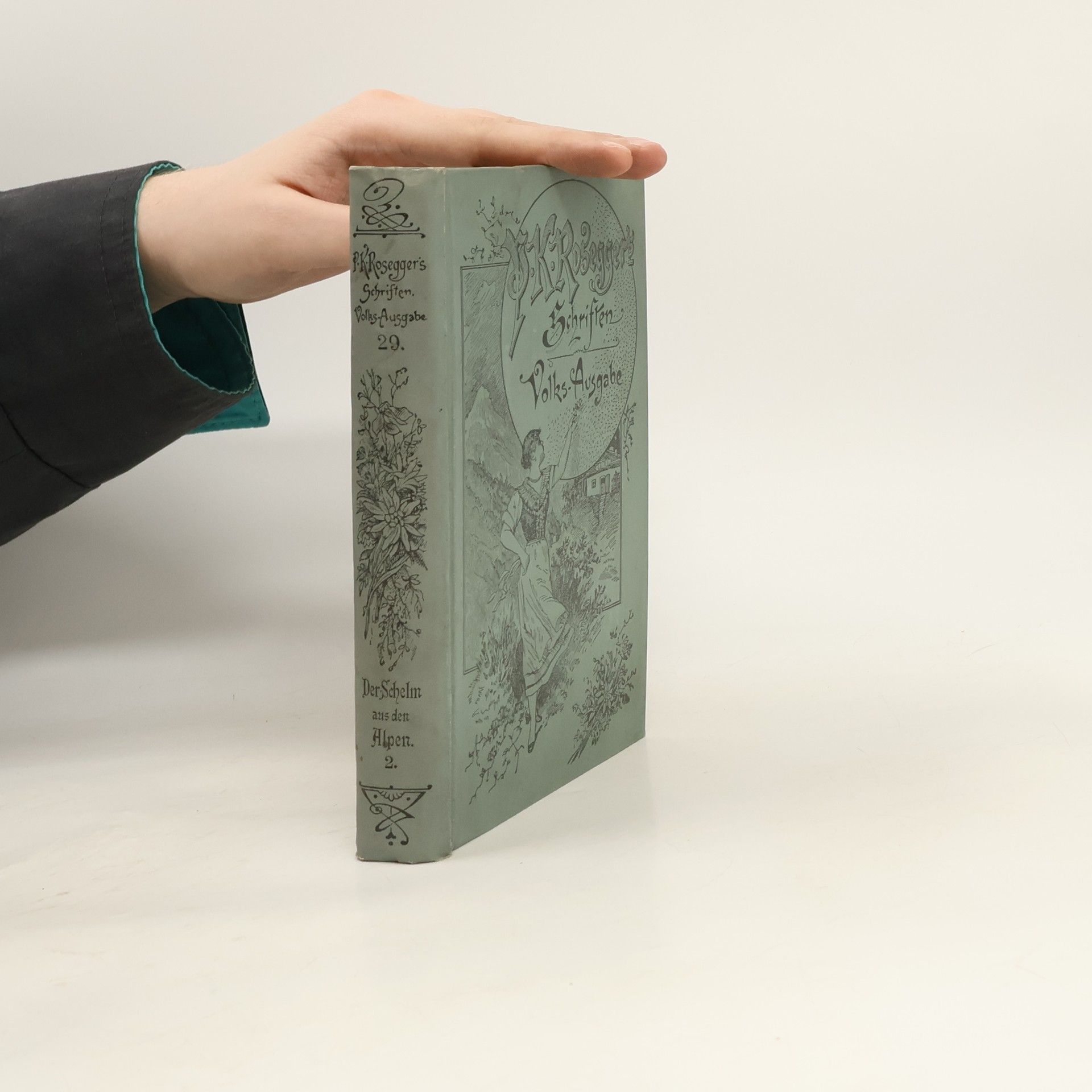 Peter Rosegger P. K. Rosegger´s Schriften 29. Der Schelm aus den Alpen 2