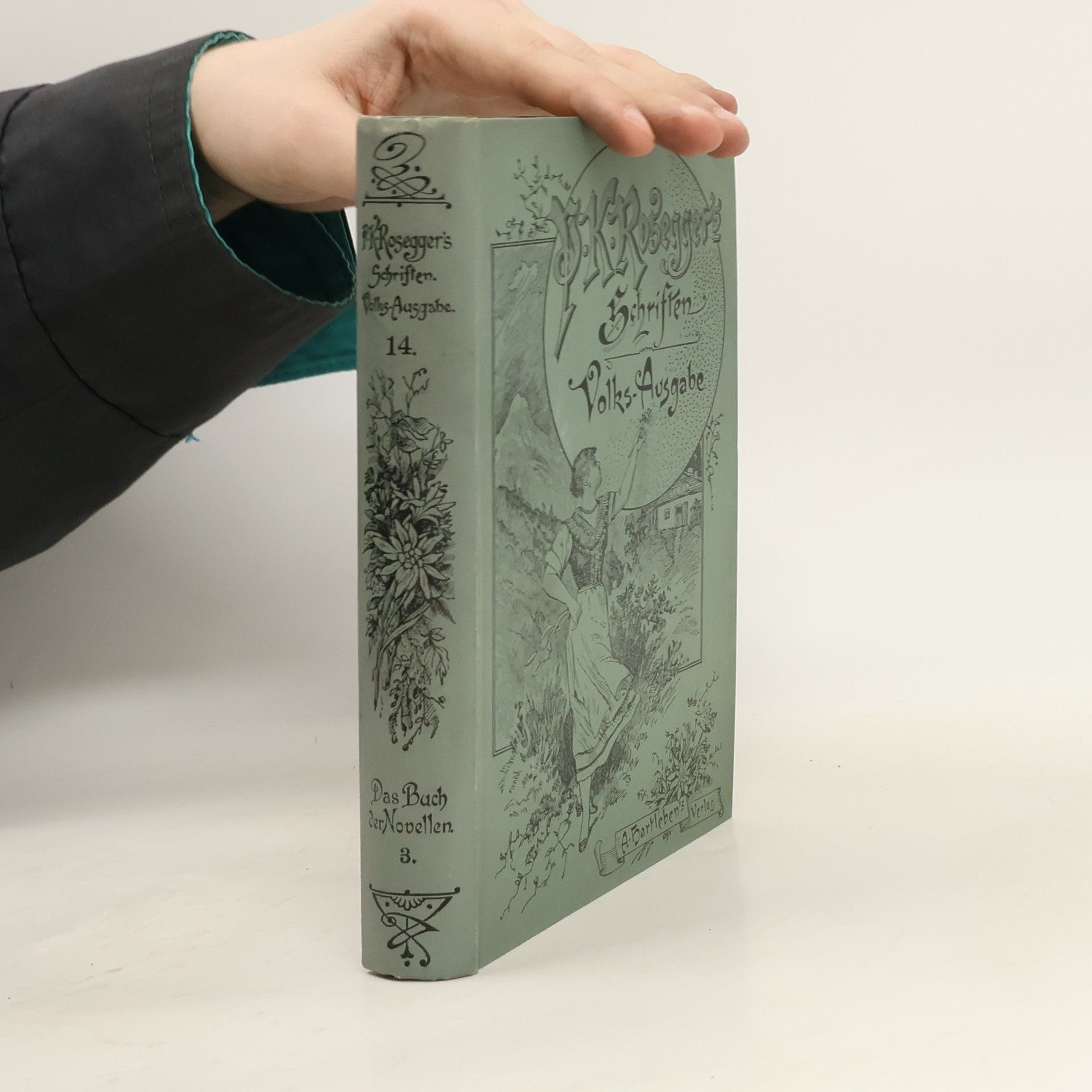 Peter Rosegger P. K. Rosegger's Schriften 14. Das Buch der Novellen 3