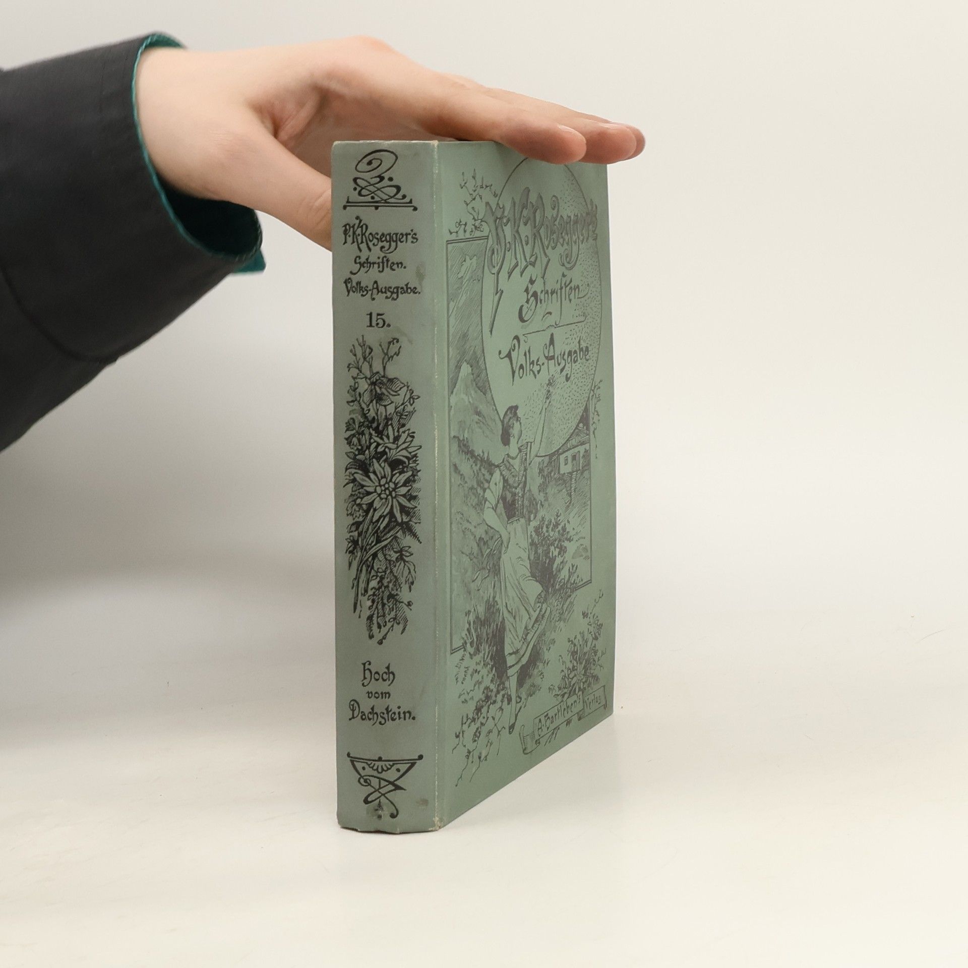Peter Rosegger P. K. Rosegger´s Schriften 15. Hoch vom Dachstein