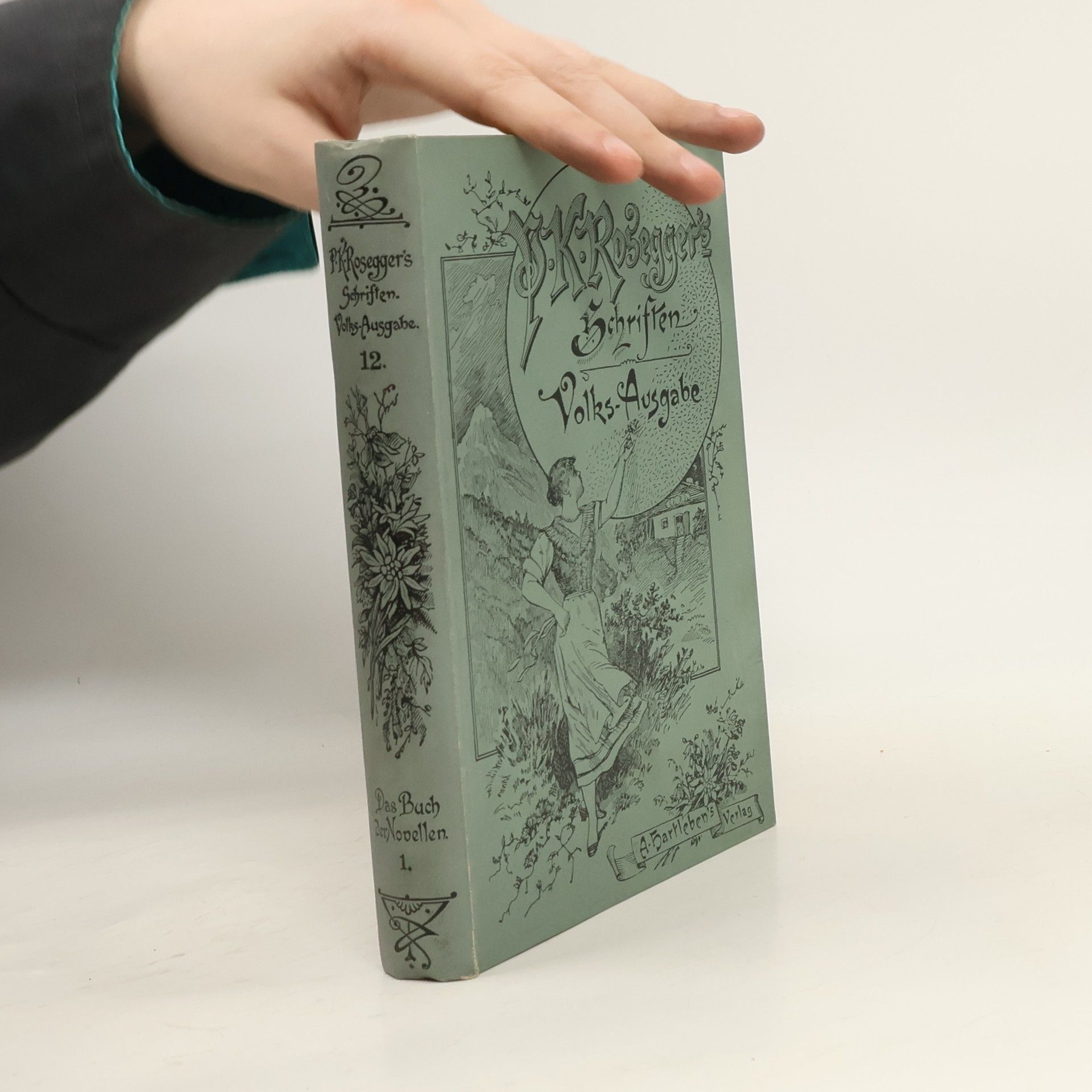 Peter Rosegger P. K. Rosegger´s Schriften 12. Das Buch der Novellen 1