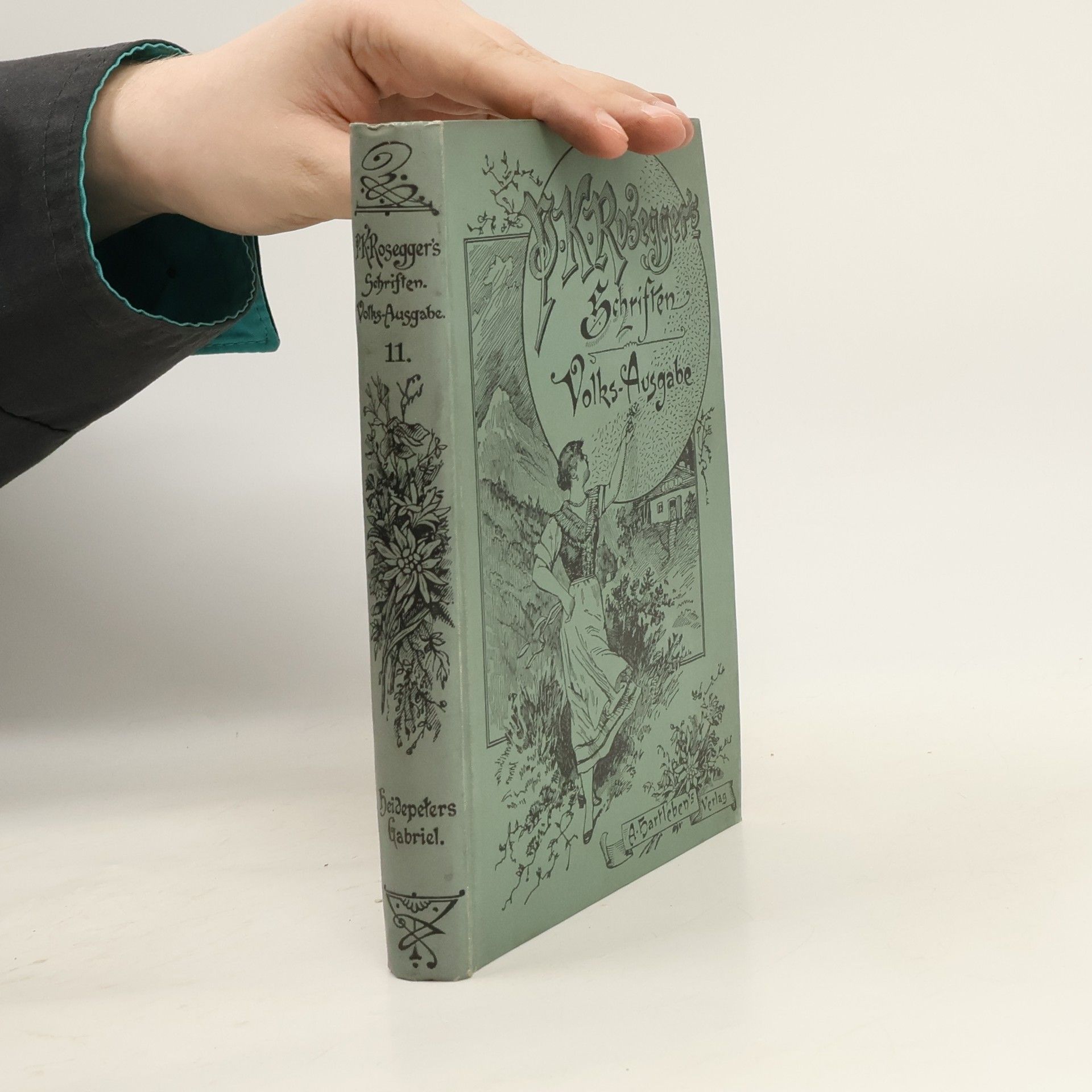 Peter Rosegger P.K. Rosegger's Schriften 11. Heidepeter's Gabriel