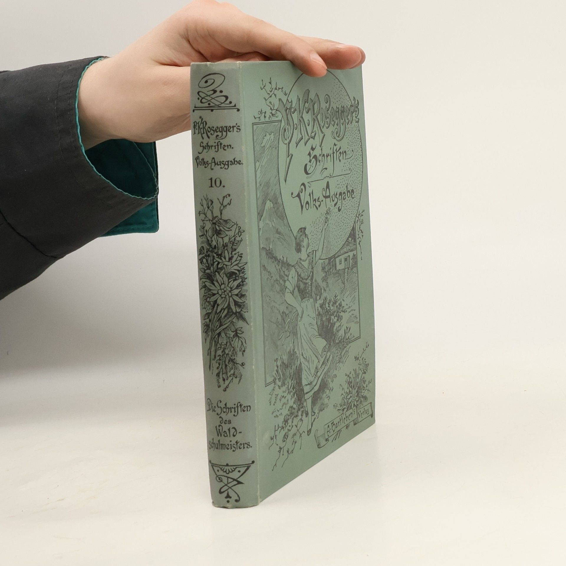 Peter Rosegger P. K. Rosegger's Schriften 10. Die Schriften des Waldschulmeisters