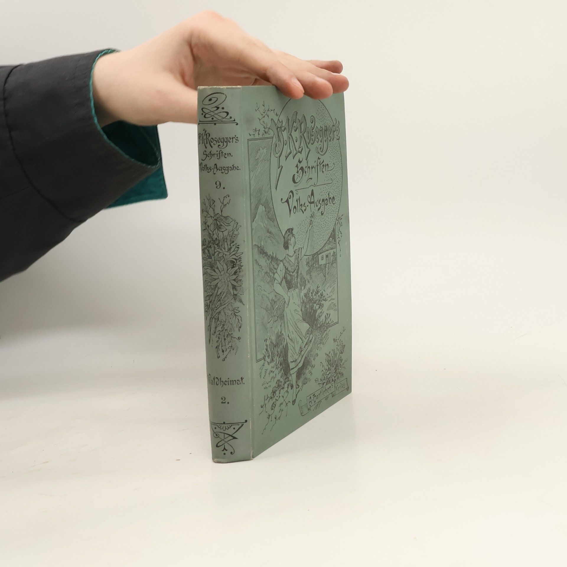 Peter Rosegger P. K. Rosegger´s Schriften 9. Waldheimat 2