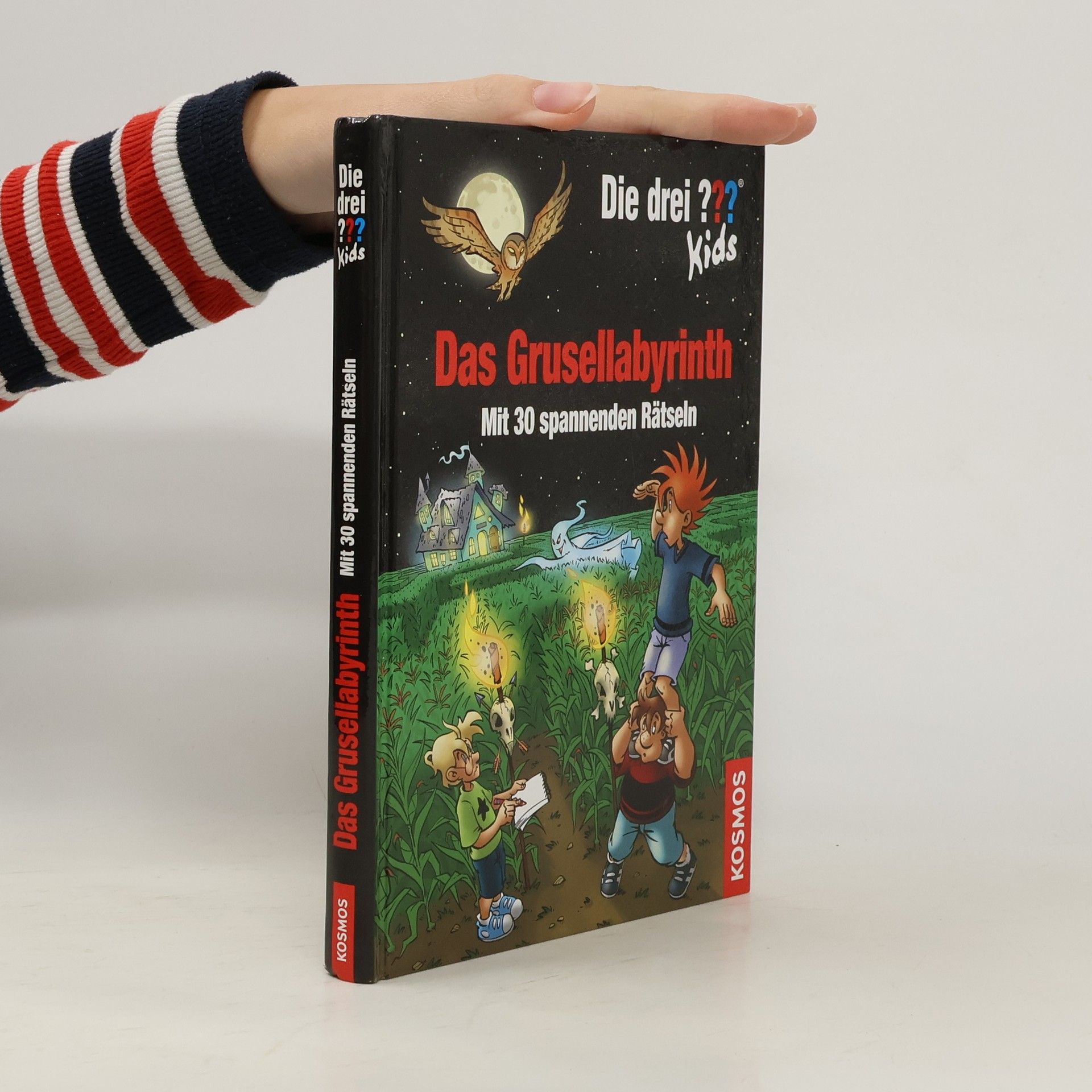 Ulf Blanck Das Grusellabyrinth