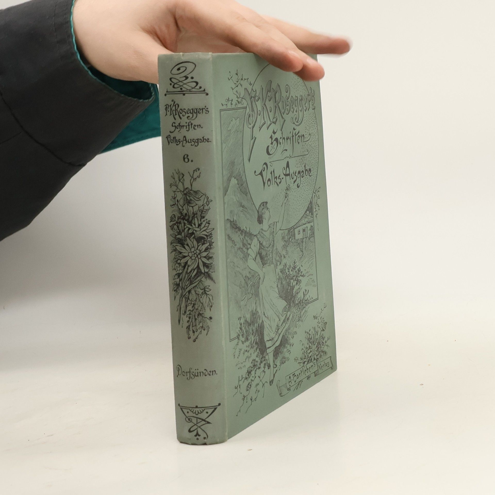 Peter Rosegger P. K. Rosegger's Schriften 6. Dorfsünden