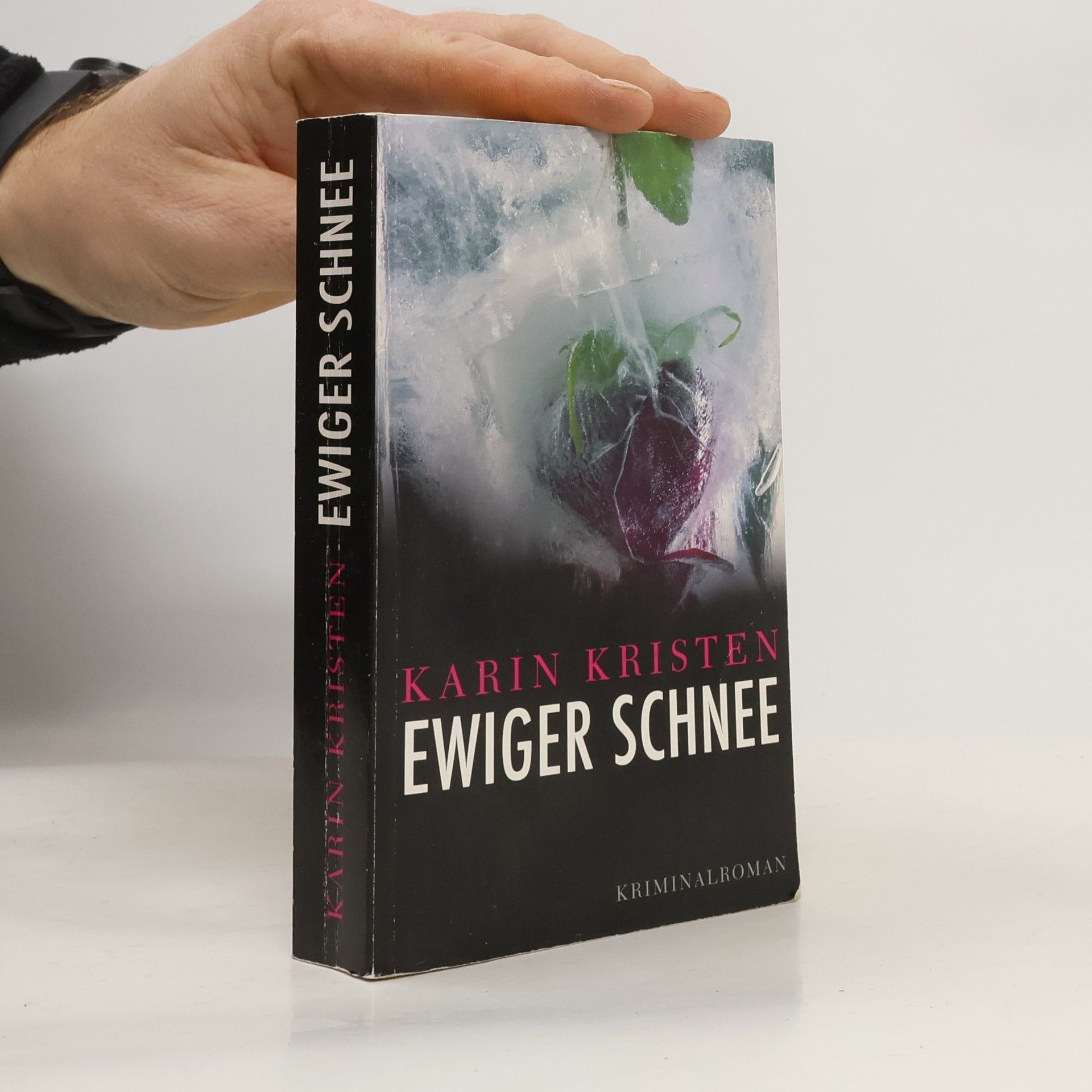 Karin Kristen Ewiger Schnee