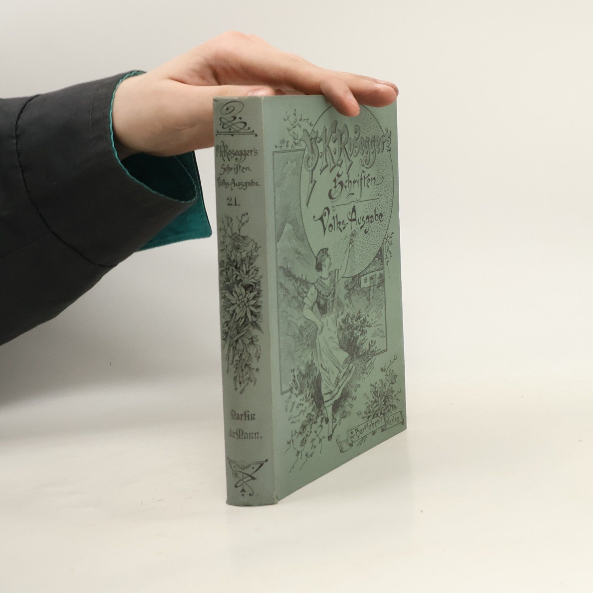 Peter Rosegger P. K. Rosegger's Schriften 21. Martin der Mann