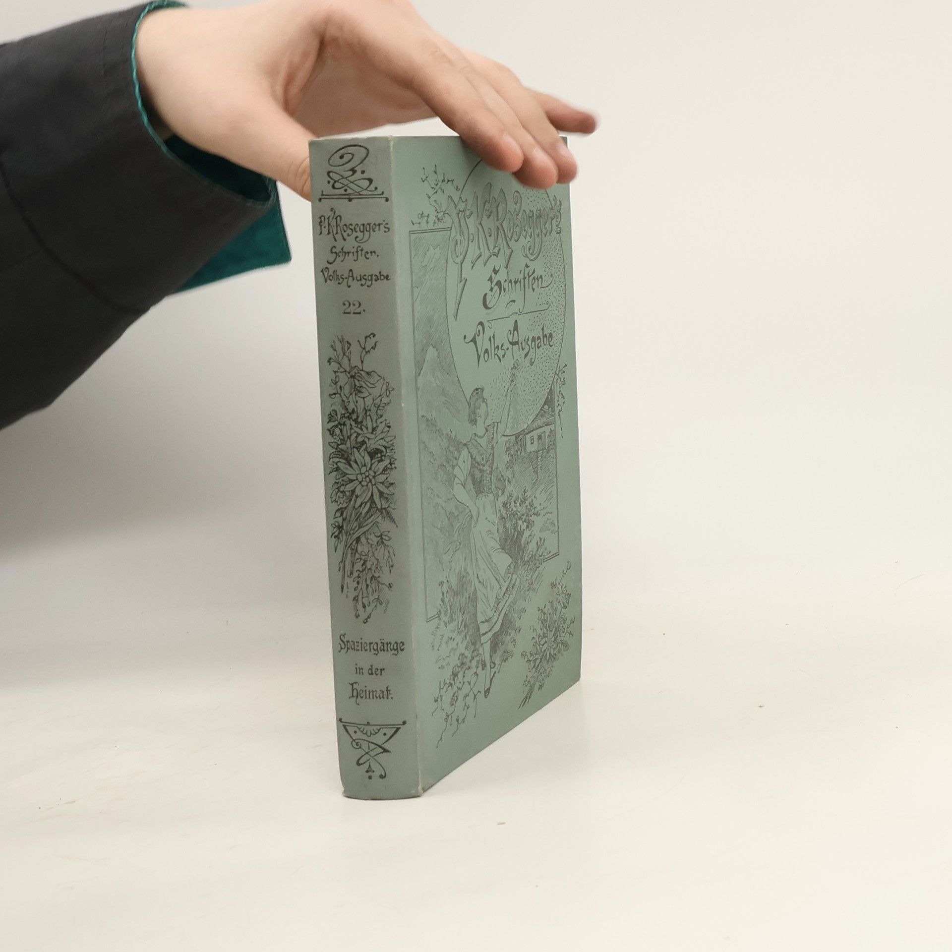 Peter Rosegger P. K. Rosegger´s Schriften 22. Spaziergänge in der Heimat