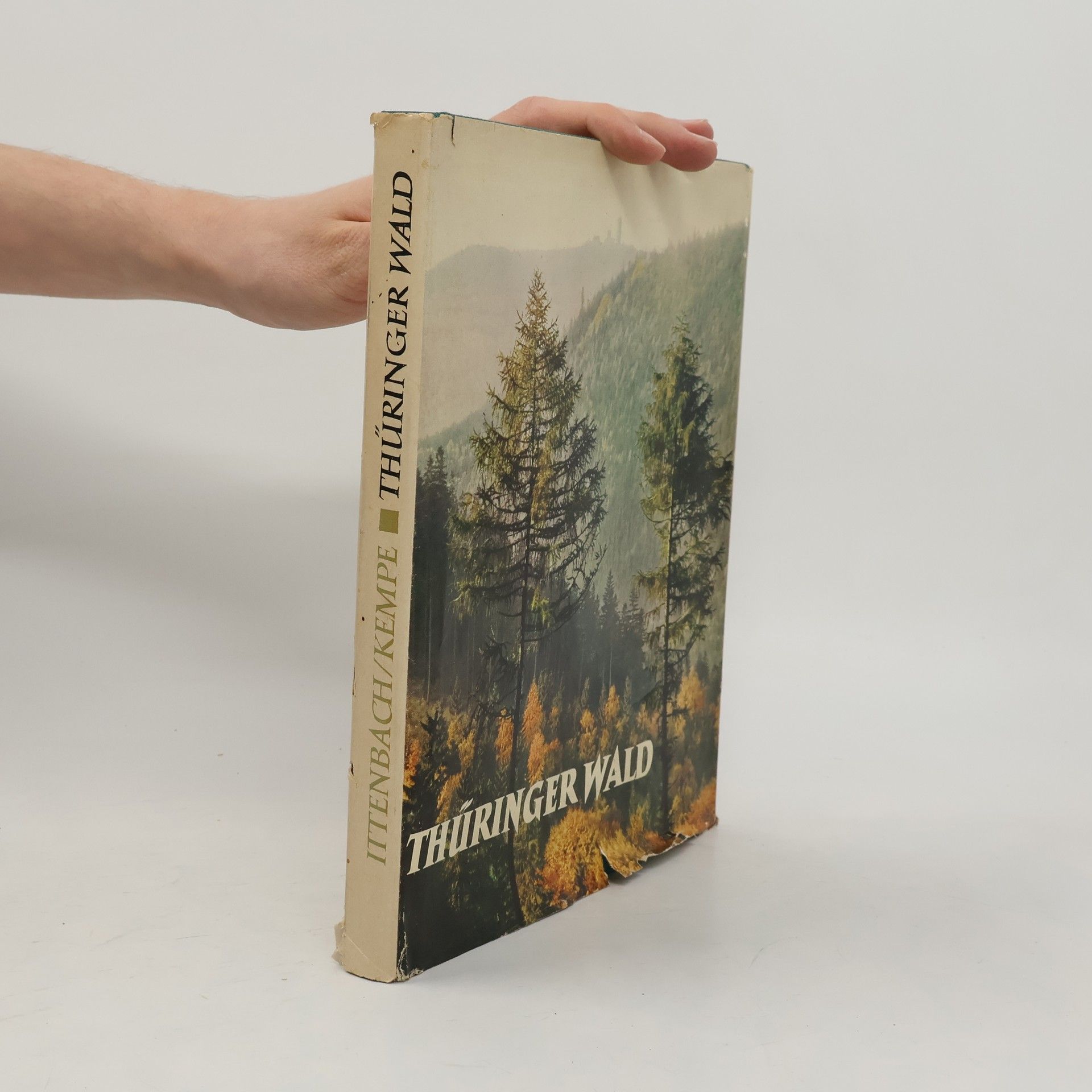 Max Ittenbach Thüringer Wald