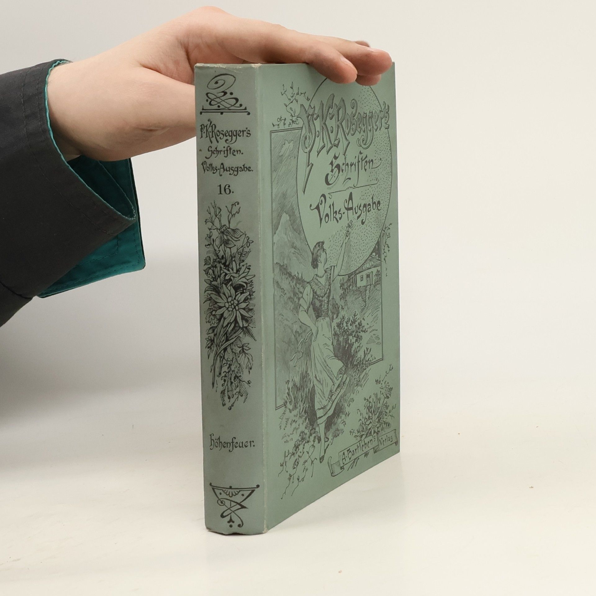 Peter Rosegger P. K. Rosegger's Schriften 16. Höhenfeuer