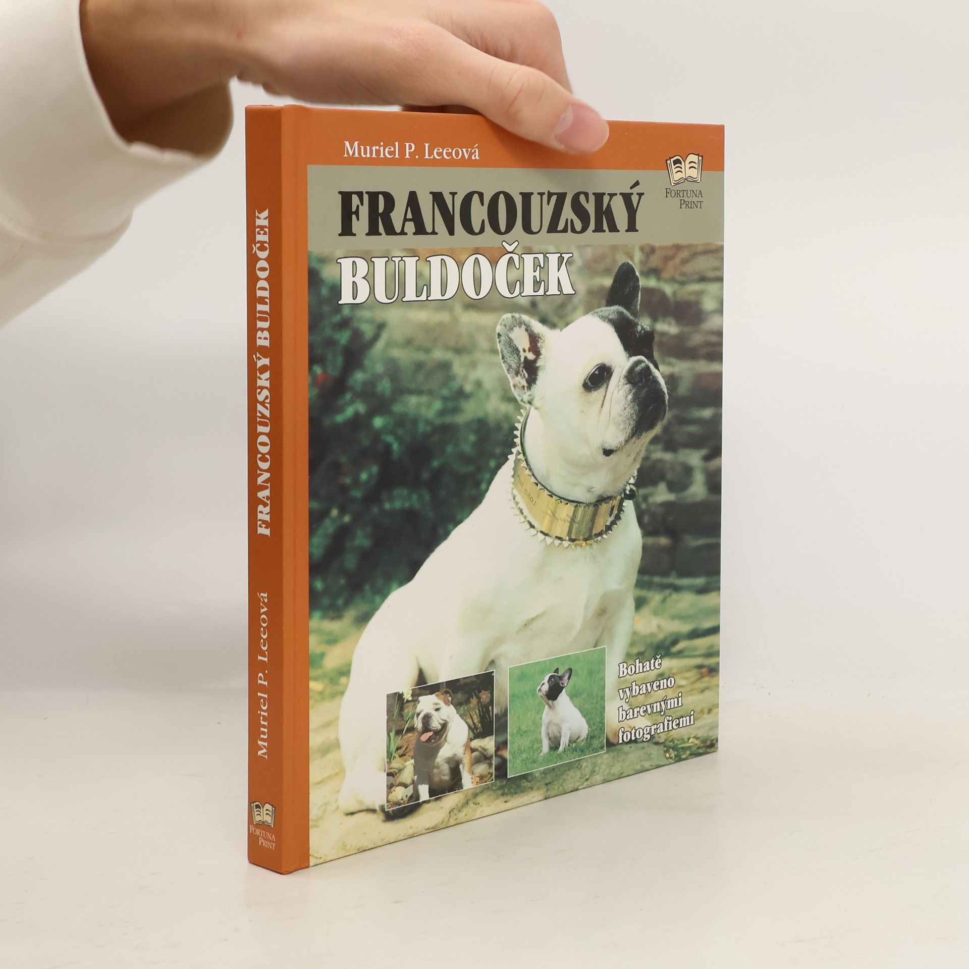 Francouzský buldoček