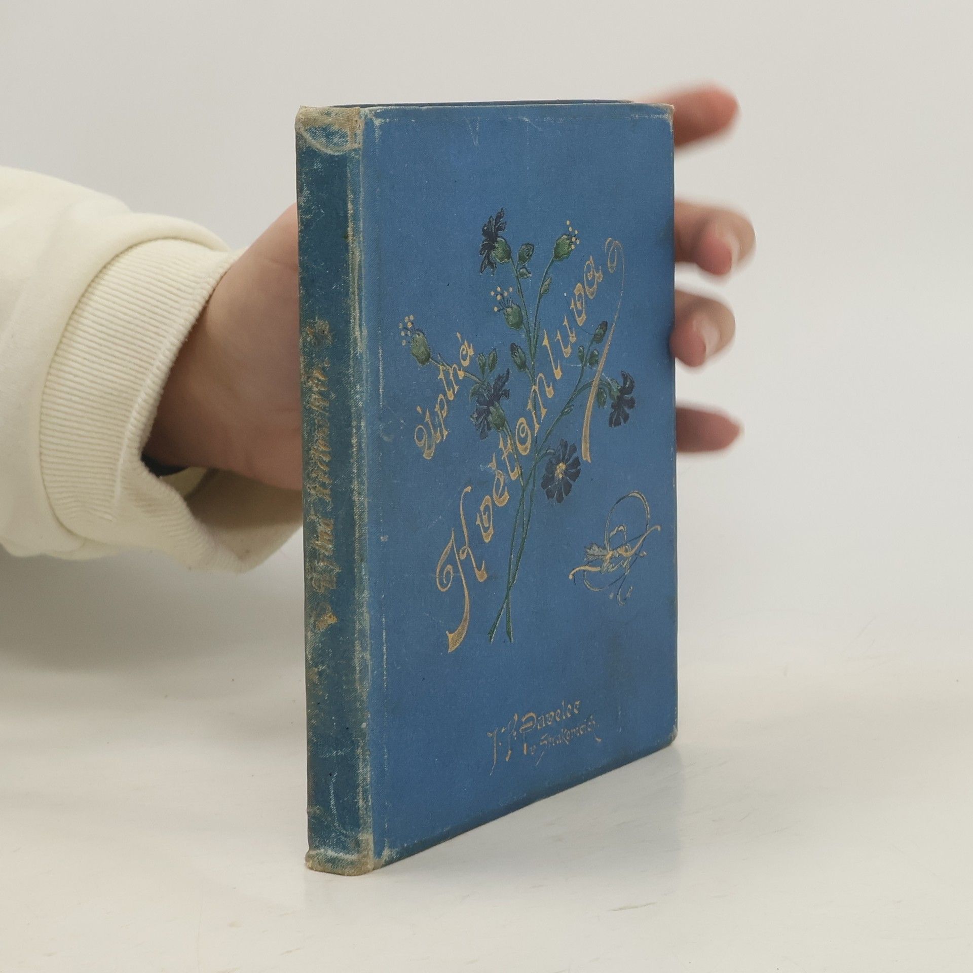 Kolektív autorov Úplná květomluva a význam barev