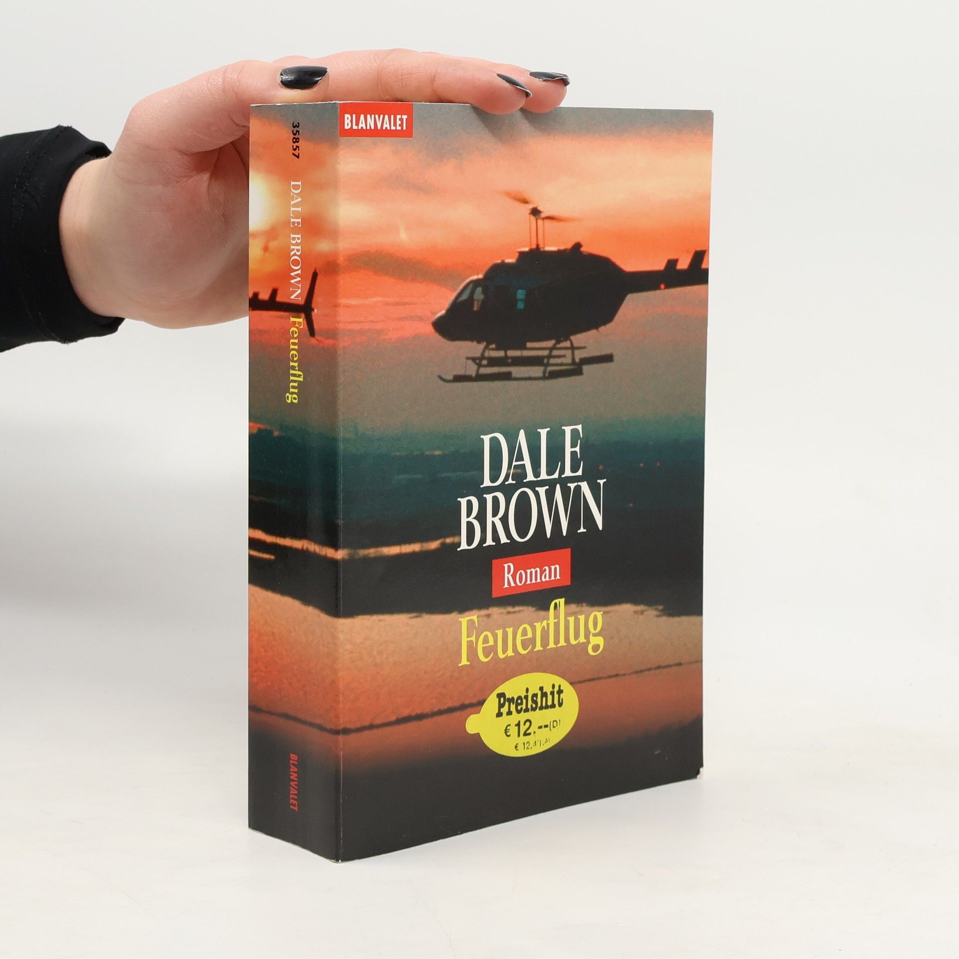 Dale Brown Feuerflug