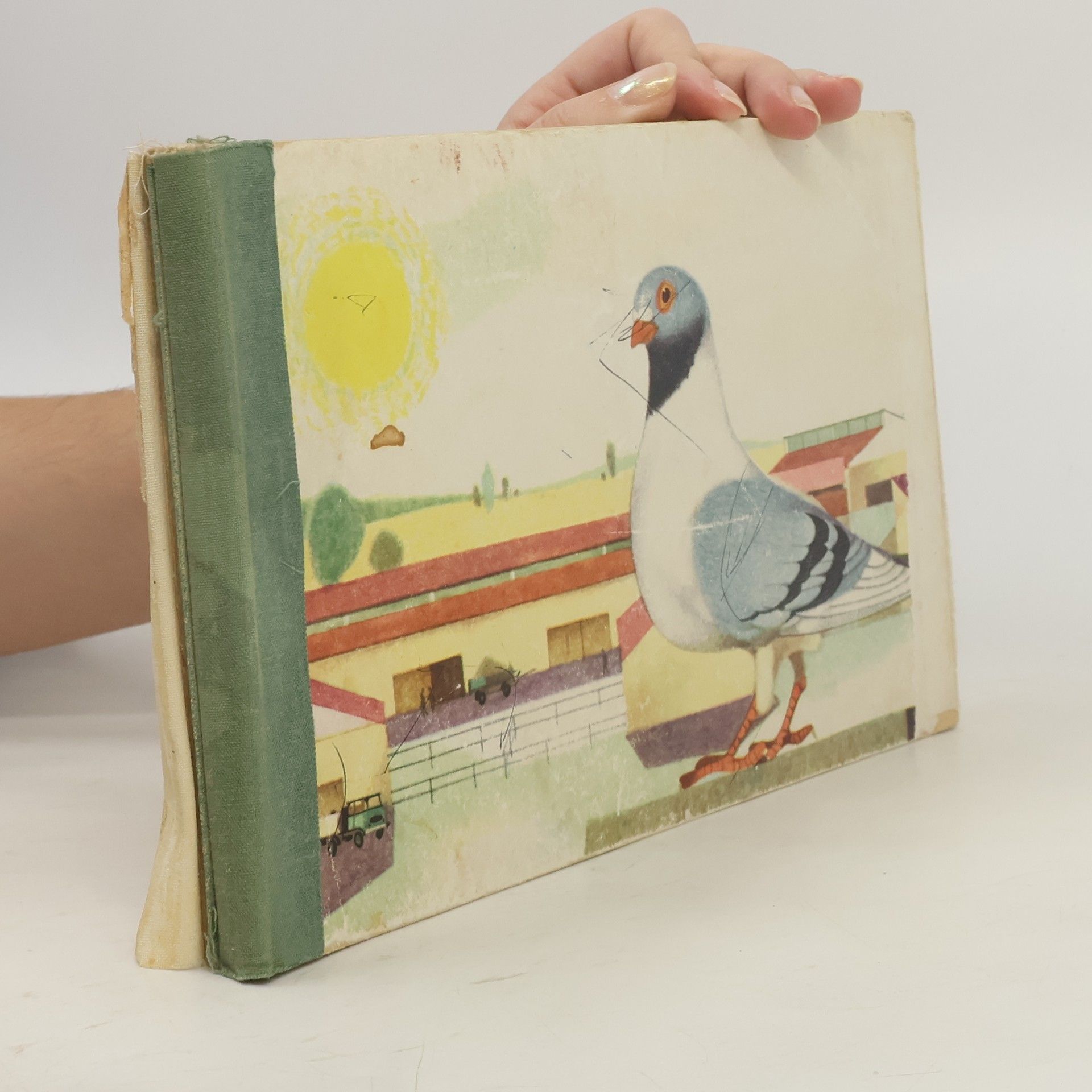 POjďme za vrátka, jsou tam zvířátka 