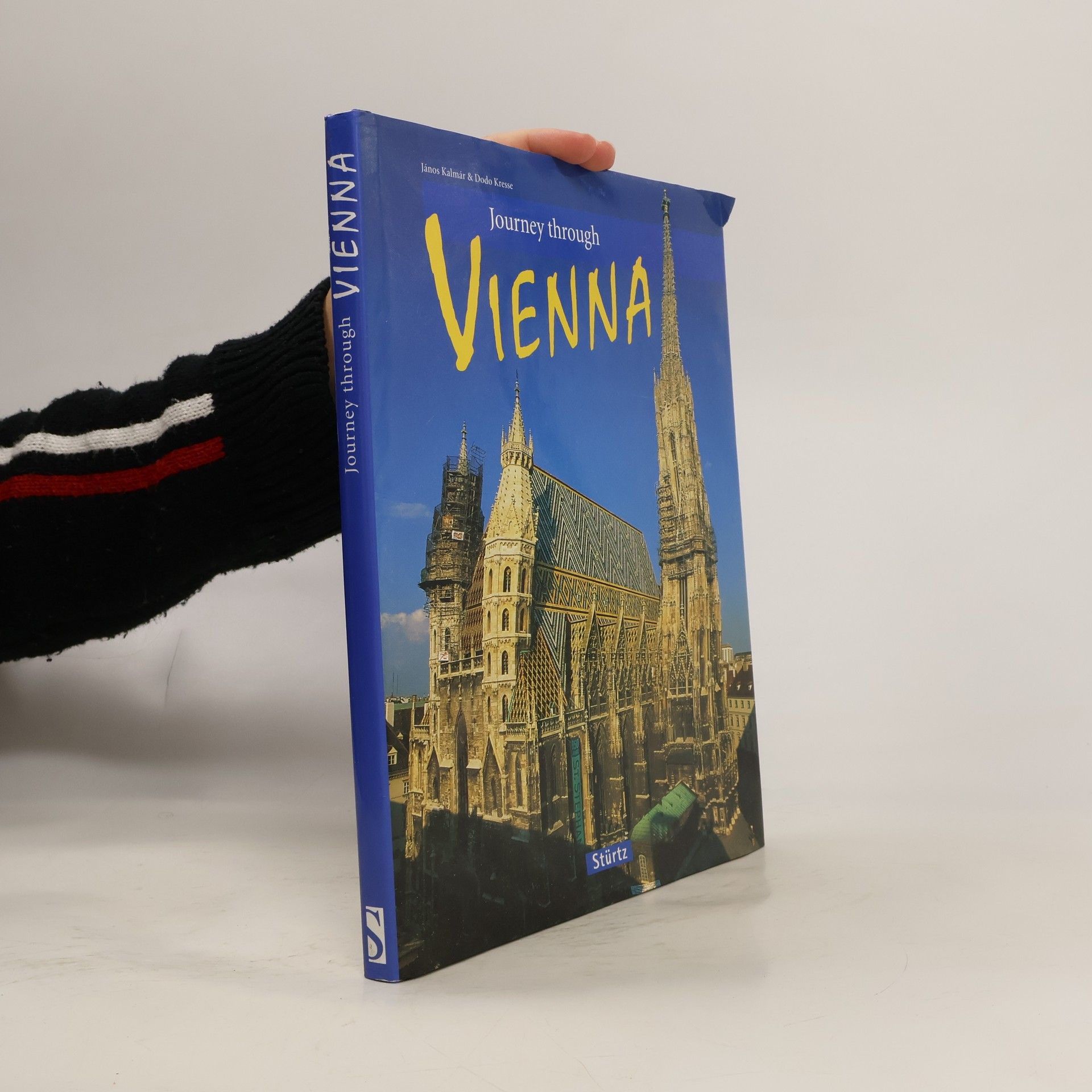 Journey Through Vienna