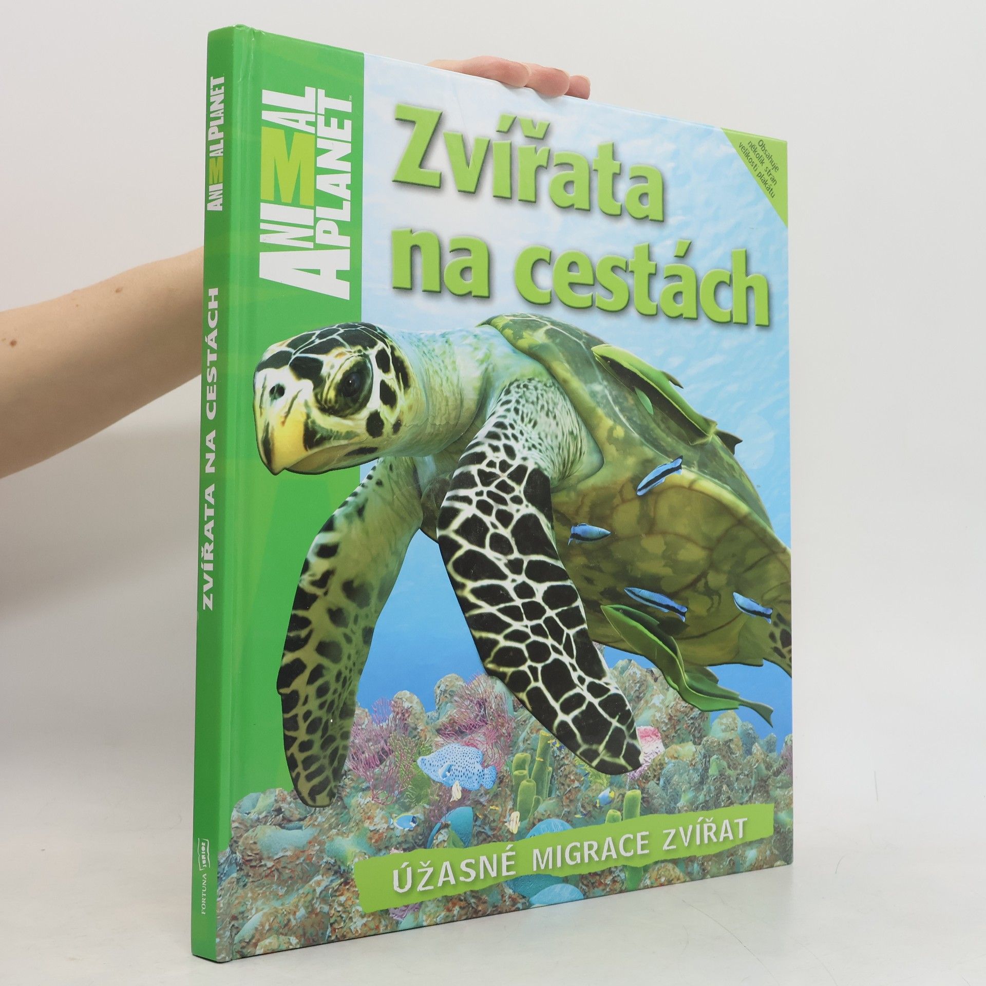 Dwight Holing Zvířata na cestách : úžasné migrace zvířat