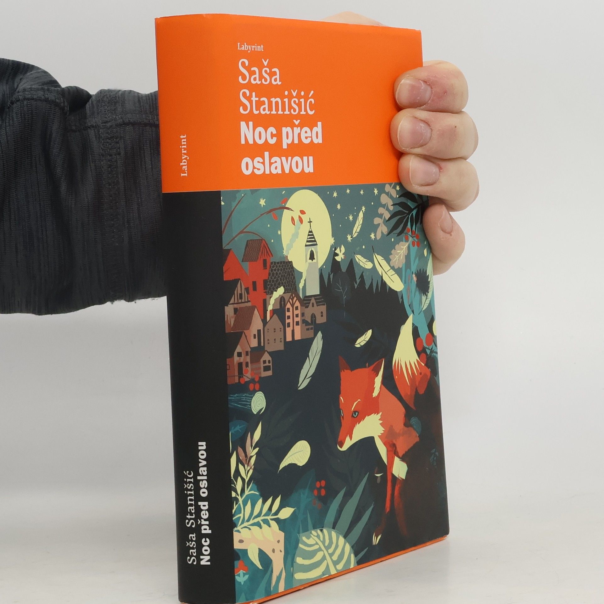 Saša Stanišić Noc před oslavou