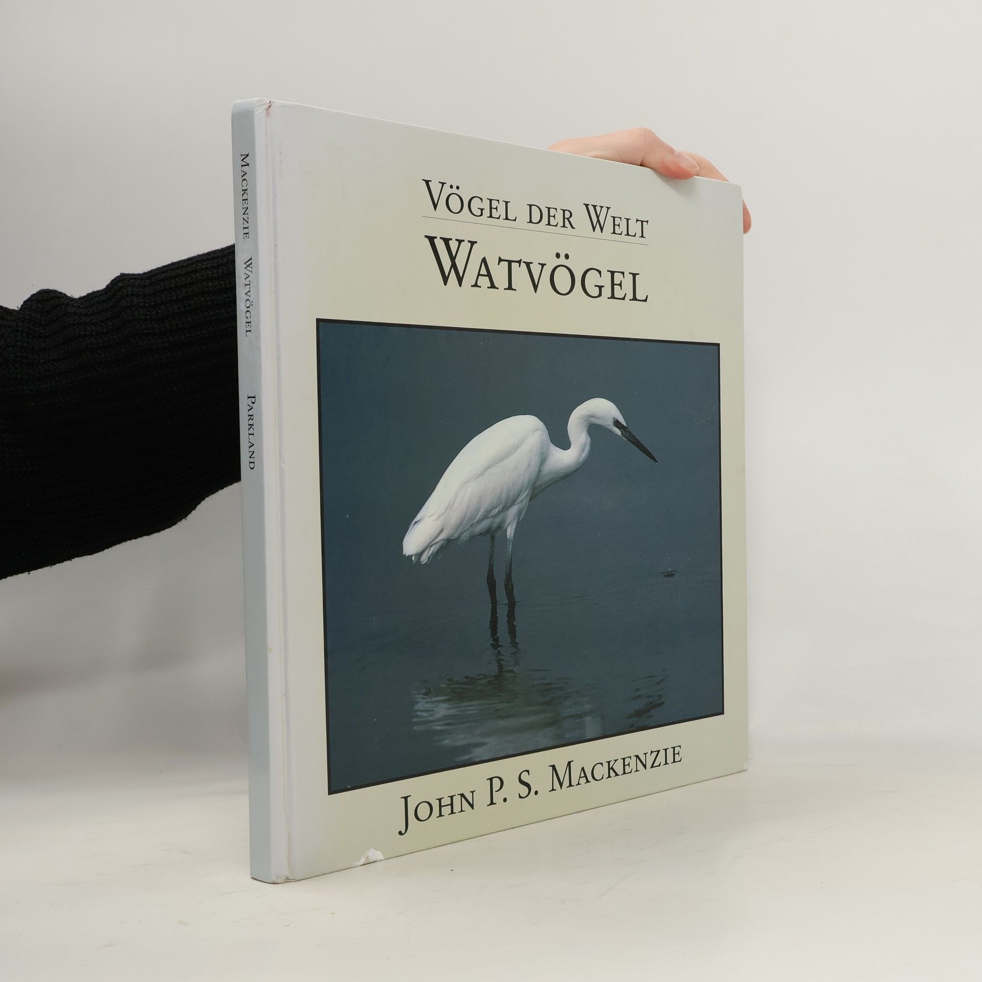 John P. S. Mackenzie Watvögel