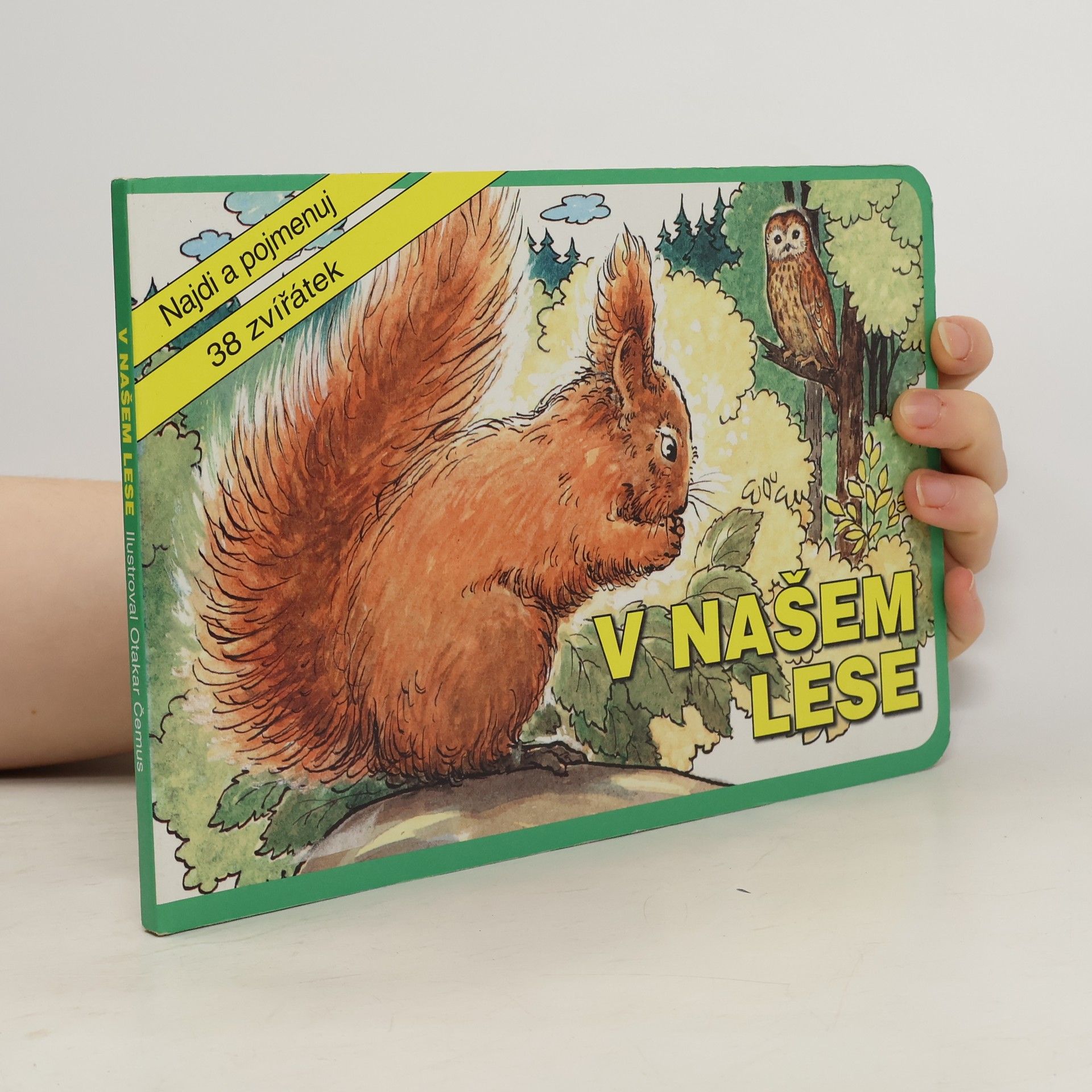 V našem lese : najdi a pojmenuj 38 zvířátek