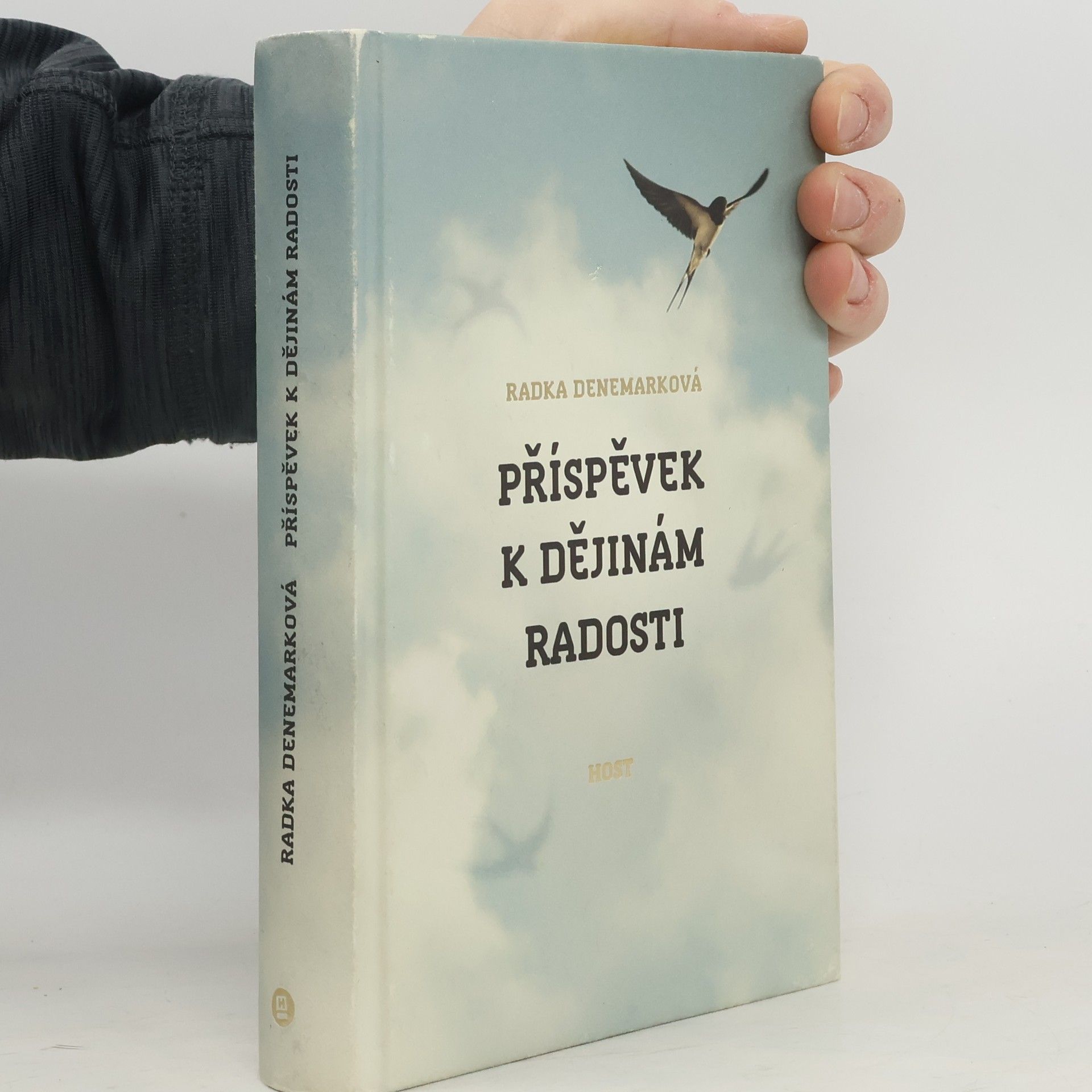 Radka Denemarková Příspěvek k dějinám radosti