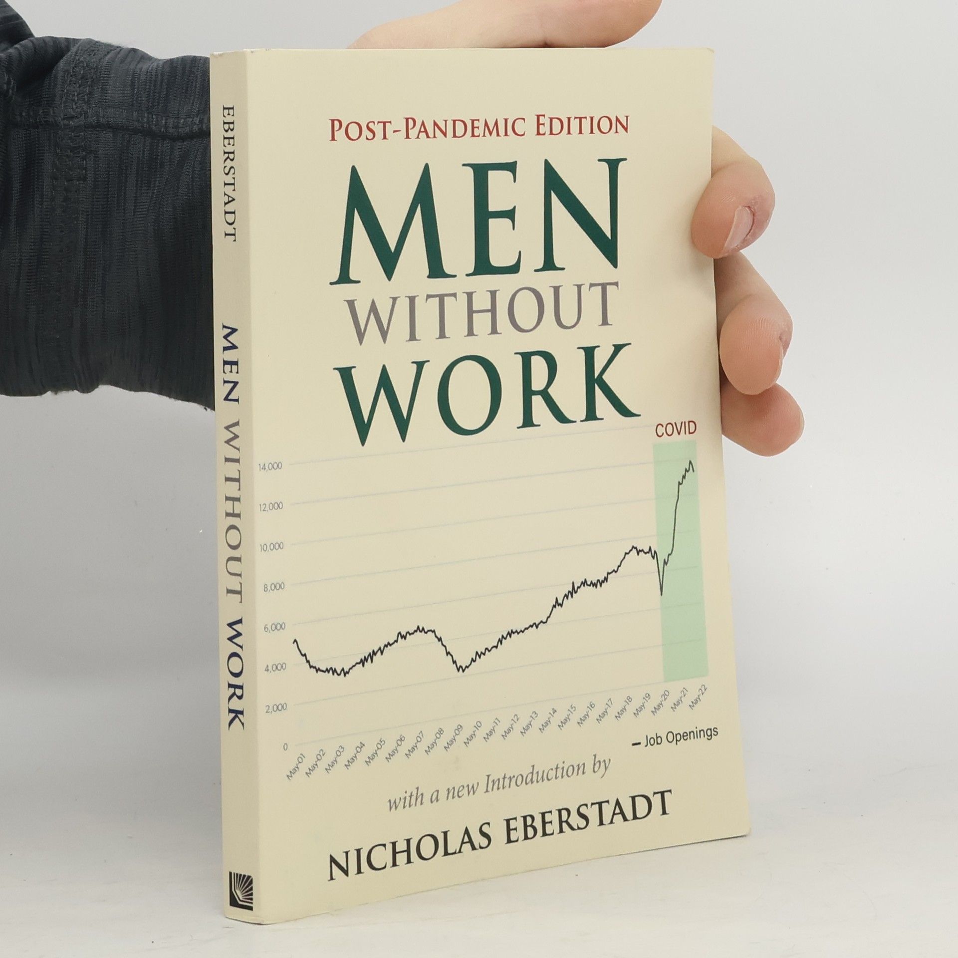 Nicholas Eberstadt Men Without Work