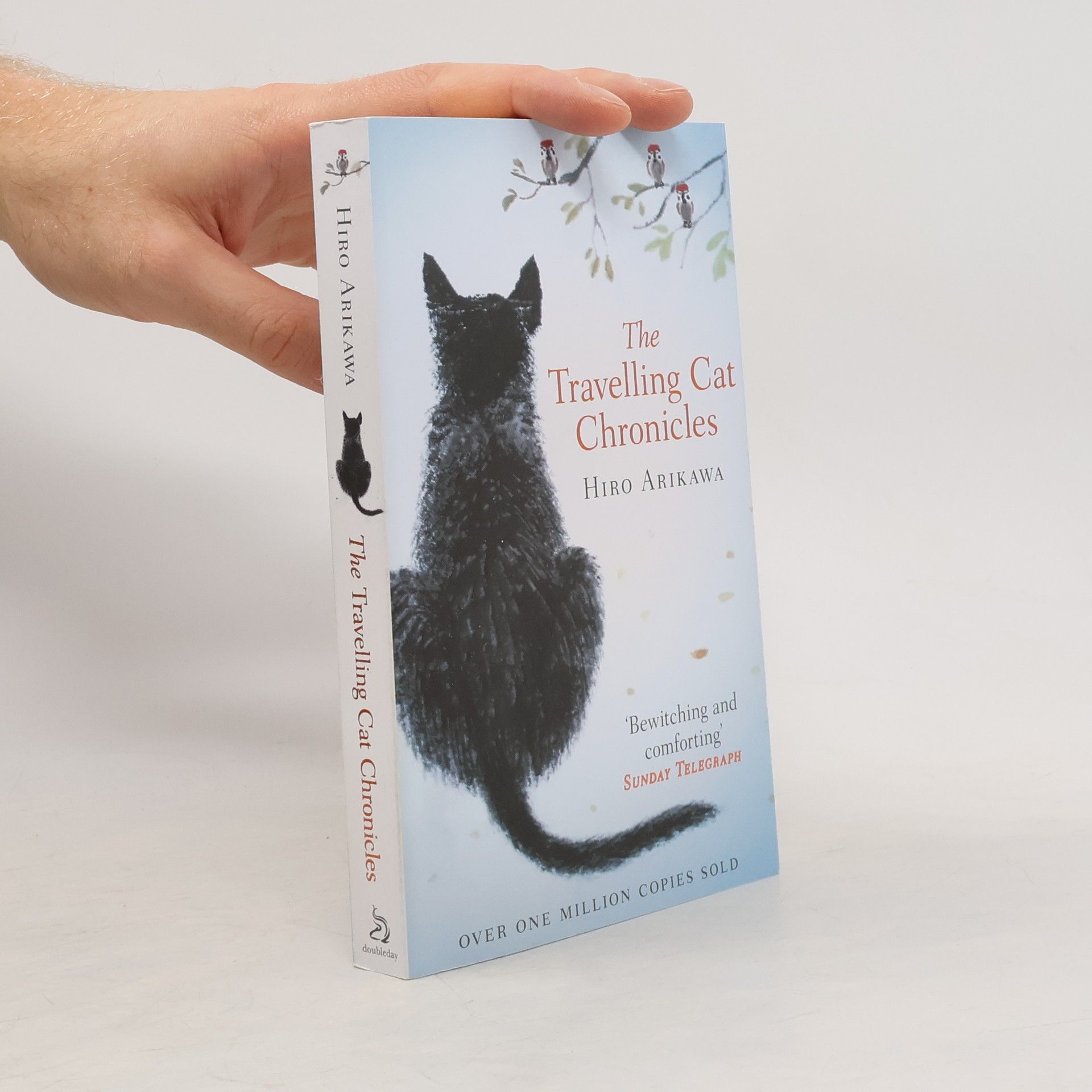 The travelling cat chronicles