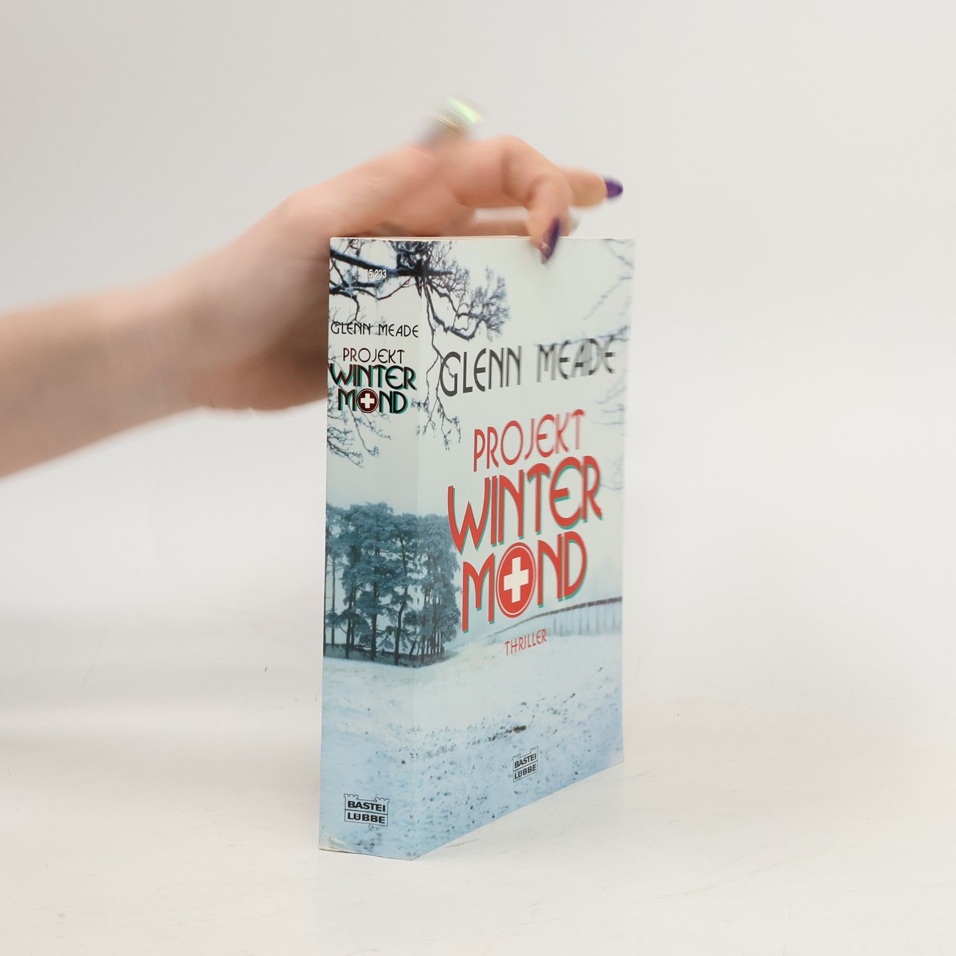 Glenn Meade Projekt winter mind