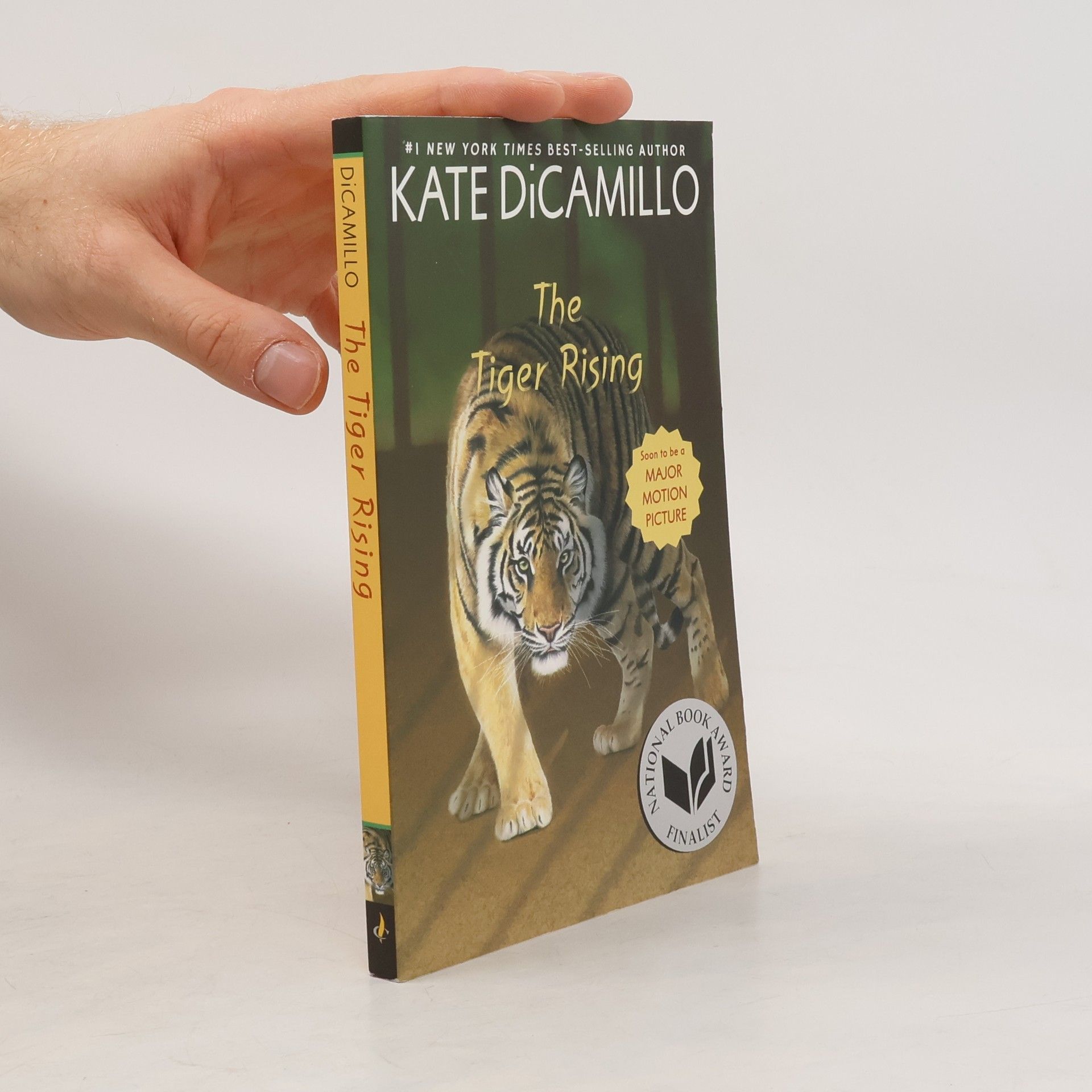 Kate DiCamillo The Tiger Rising