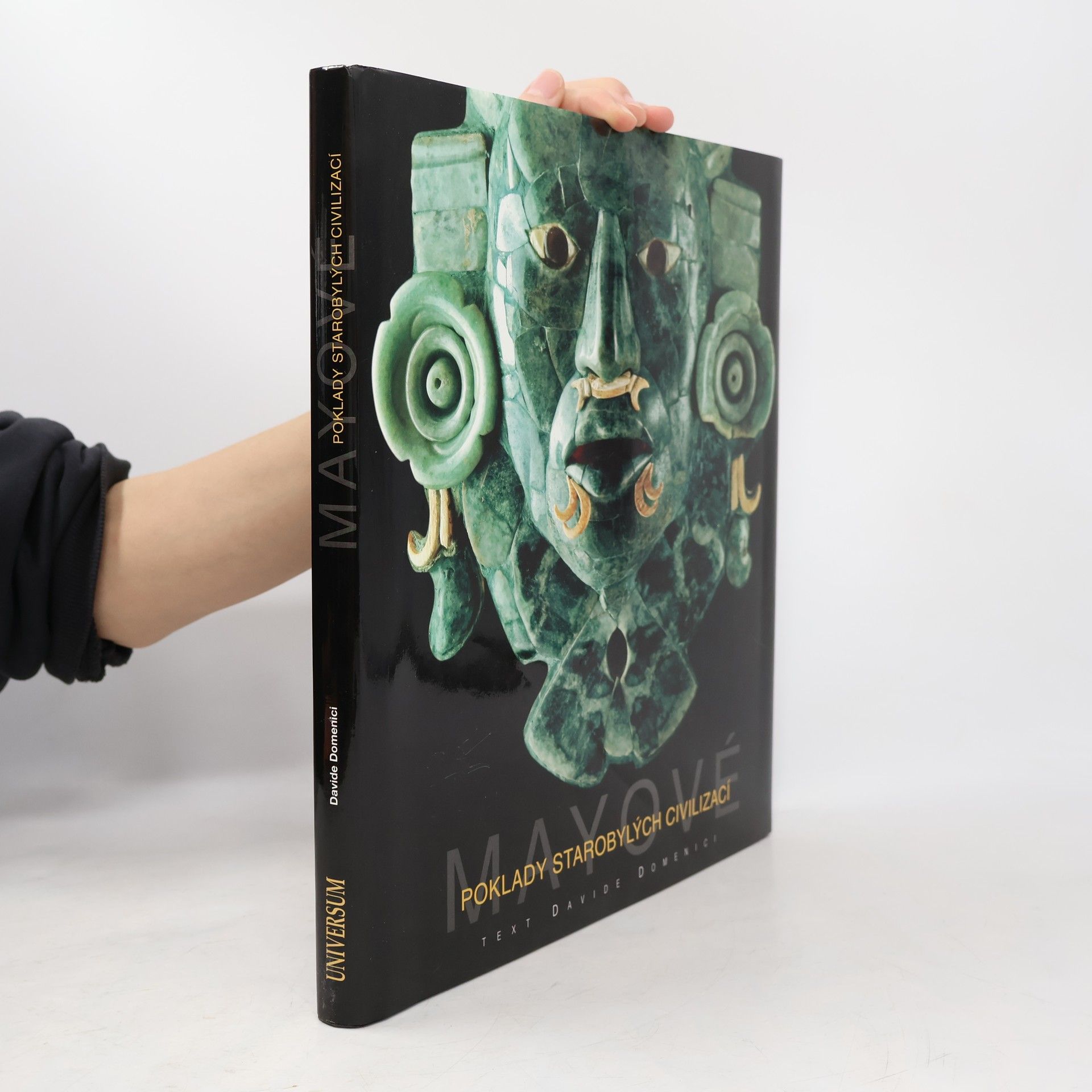 Davide Domenici Mayové. Poklady starobylých civilizací