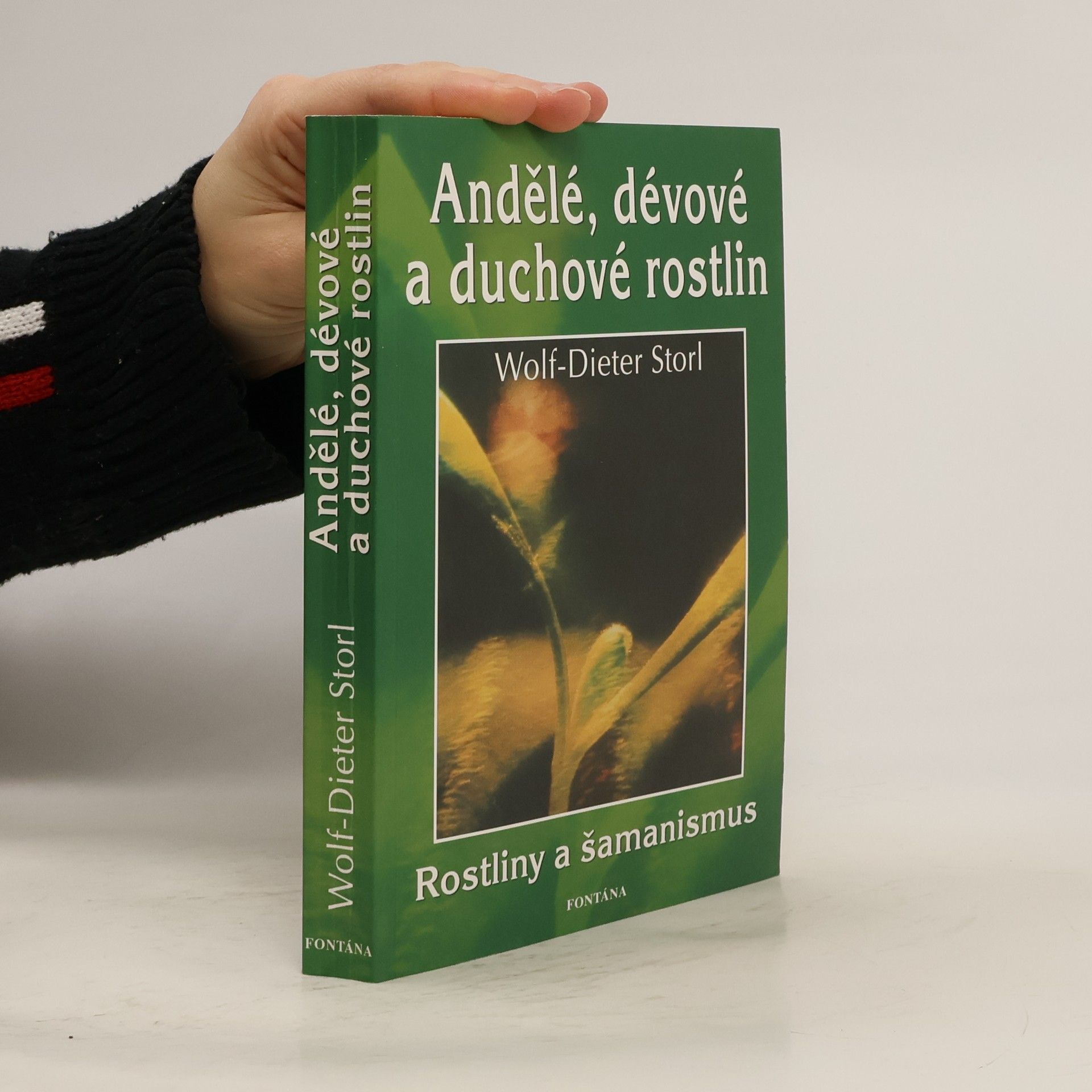 Andělé, dévové a duchové rostlin: S praktickými návody k meditacím