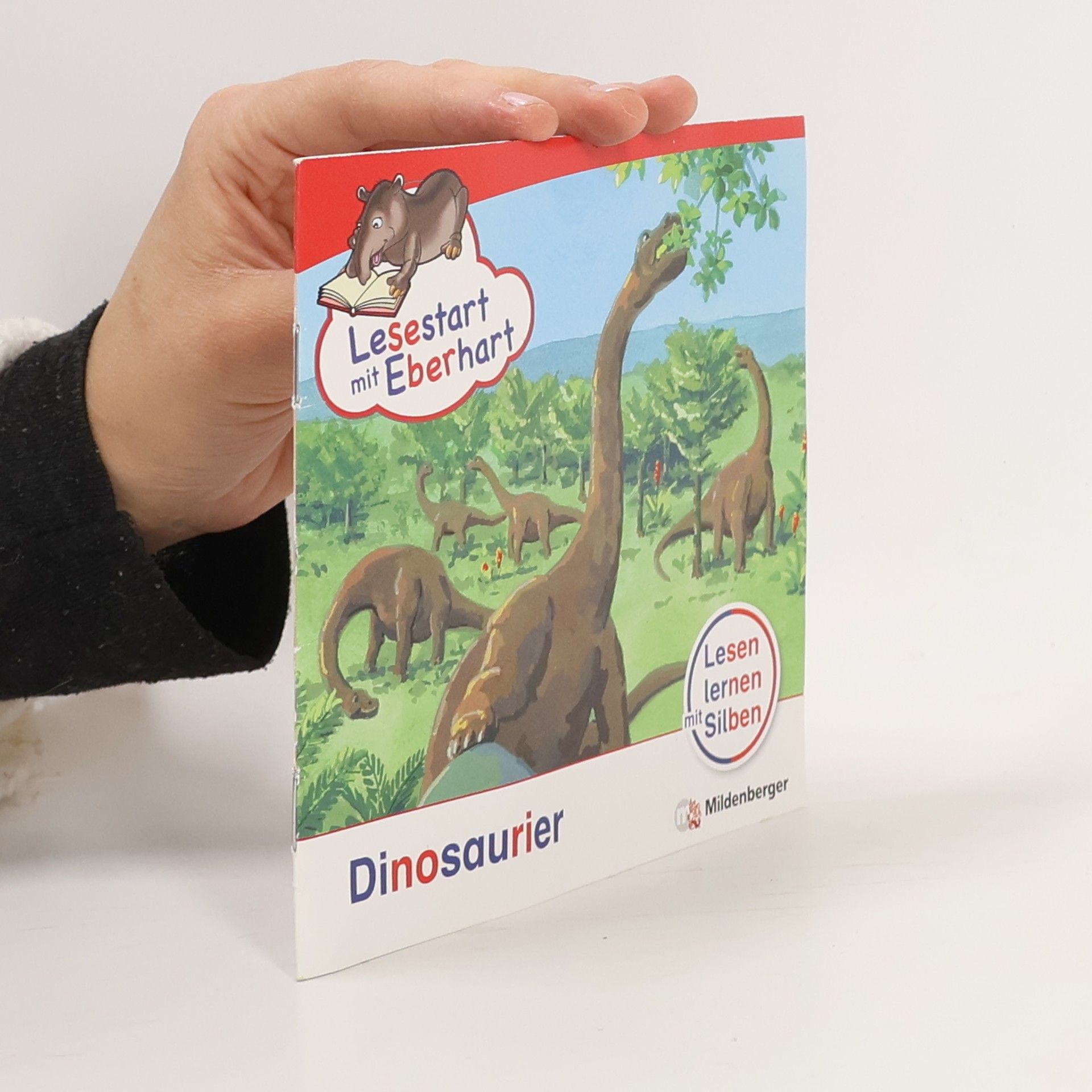 Stefanie Drecktrah Lesestart mit Eberhart - Dinosaurier