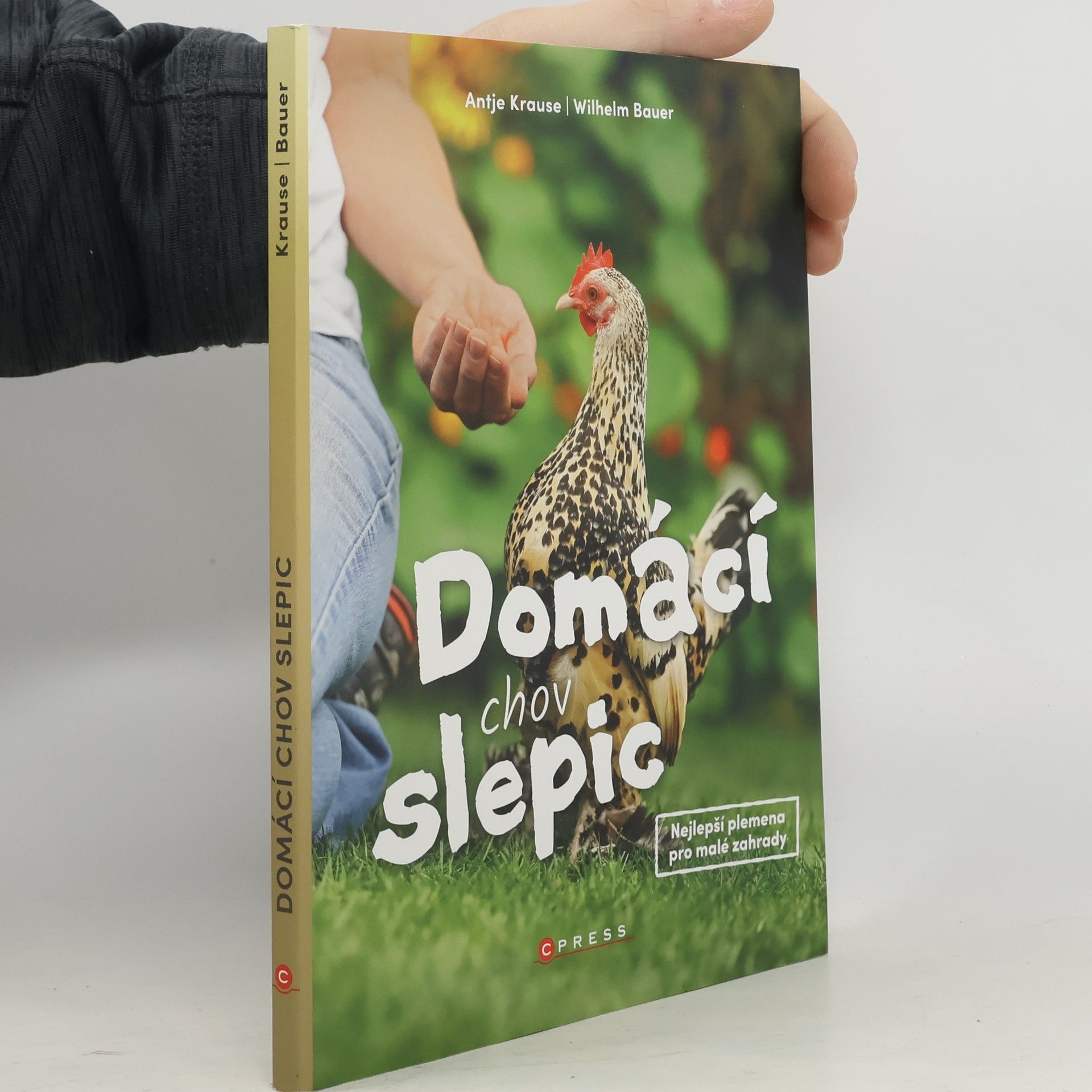 Domácí chov slepic