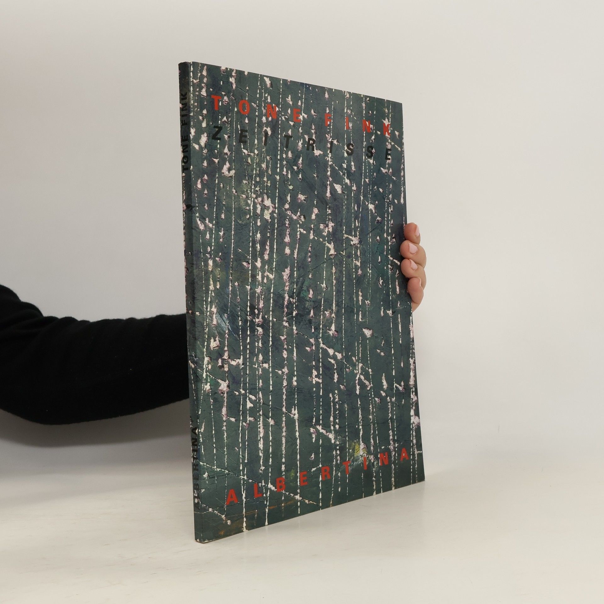 Tone Finke, Zeitrisse