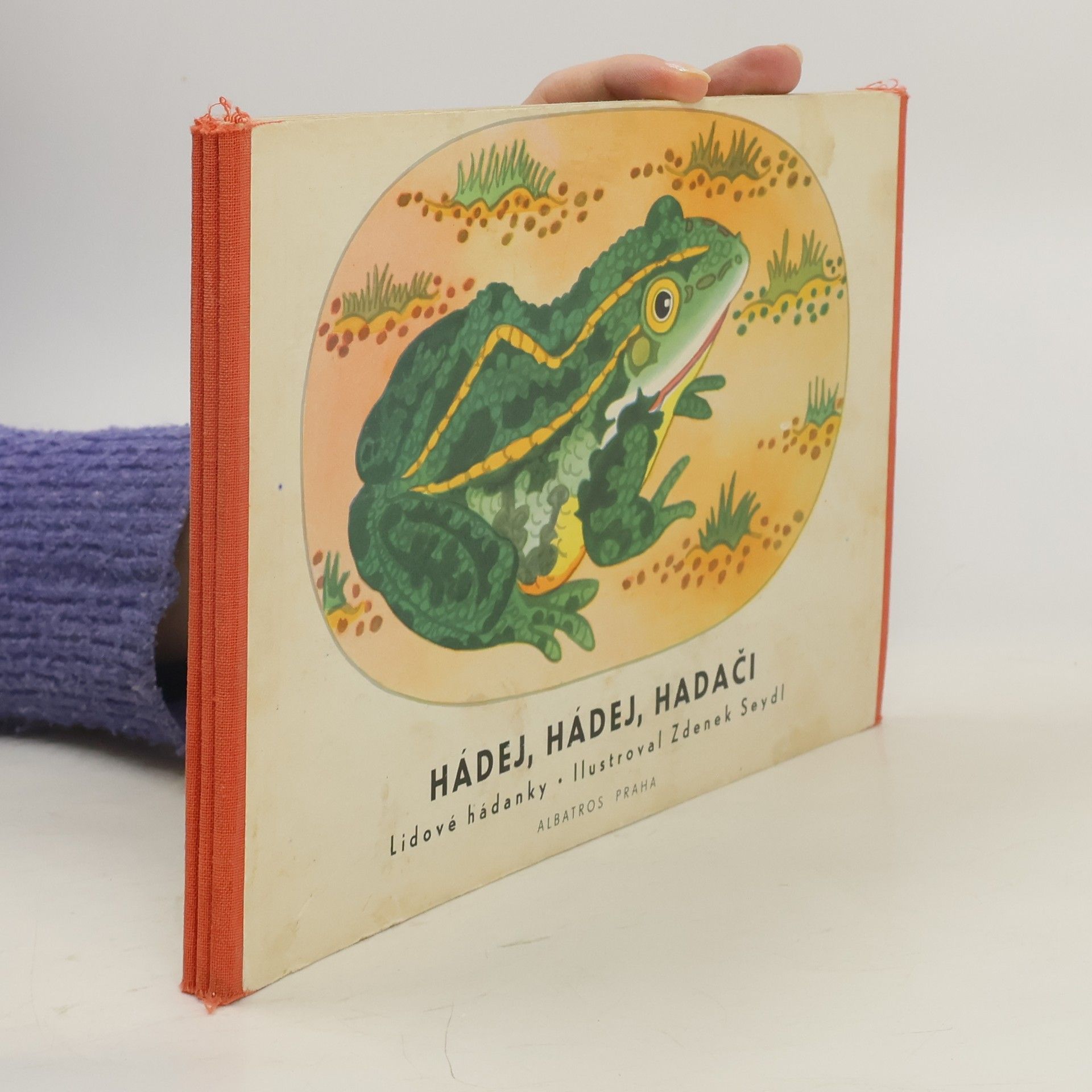 Auteurscollectief Hádej, hádej, hadači