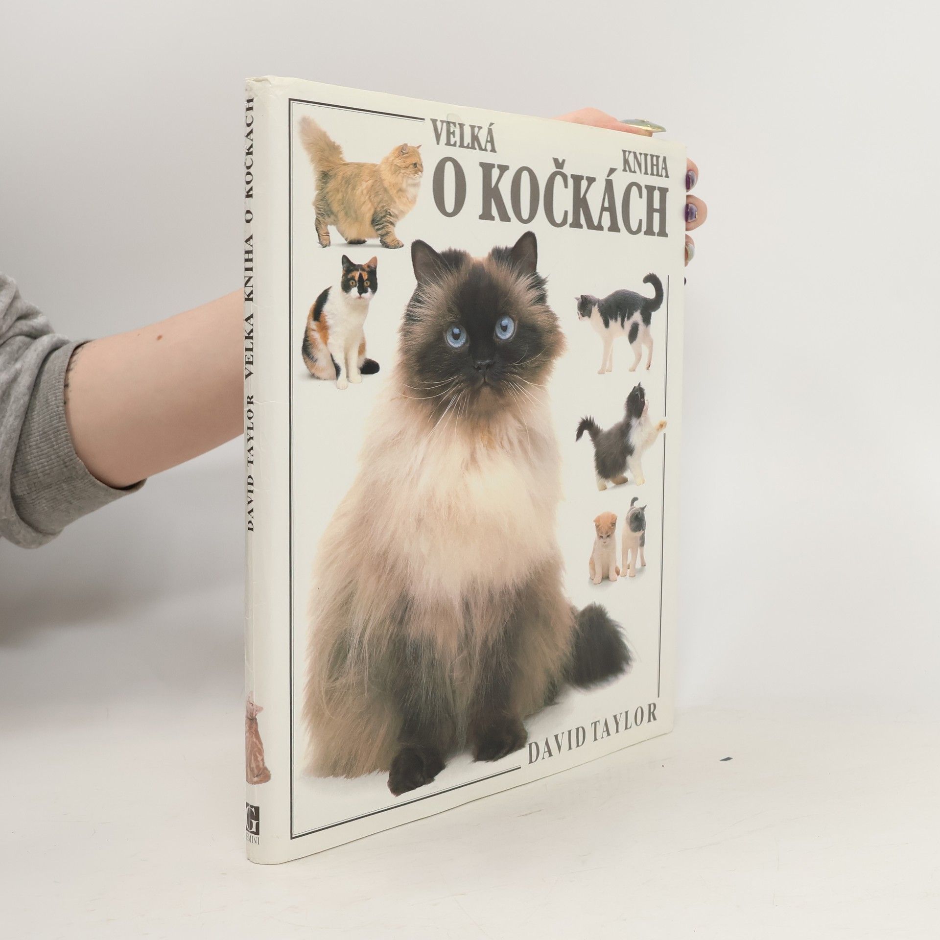 Velká kniha o kočkách