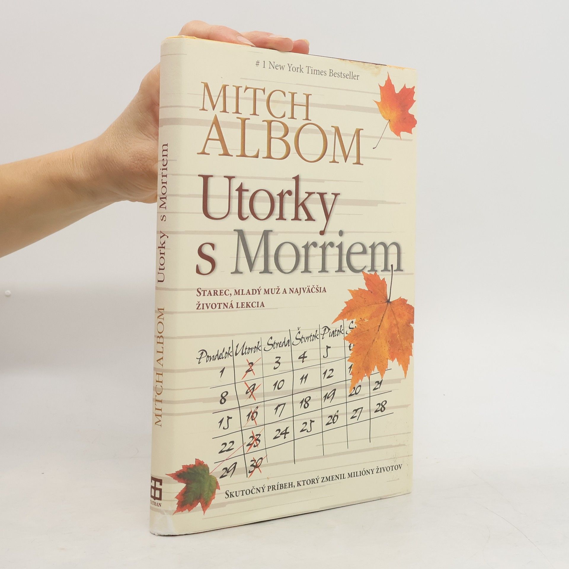 Mitch Albom Utorky s Morriem