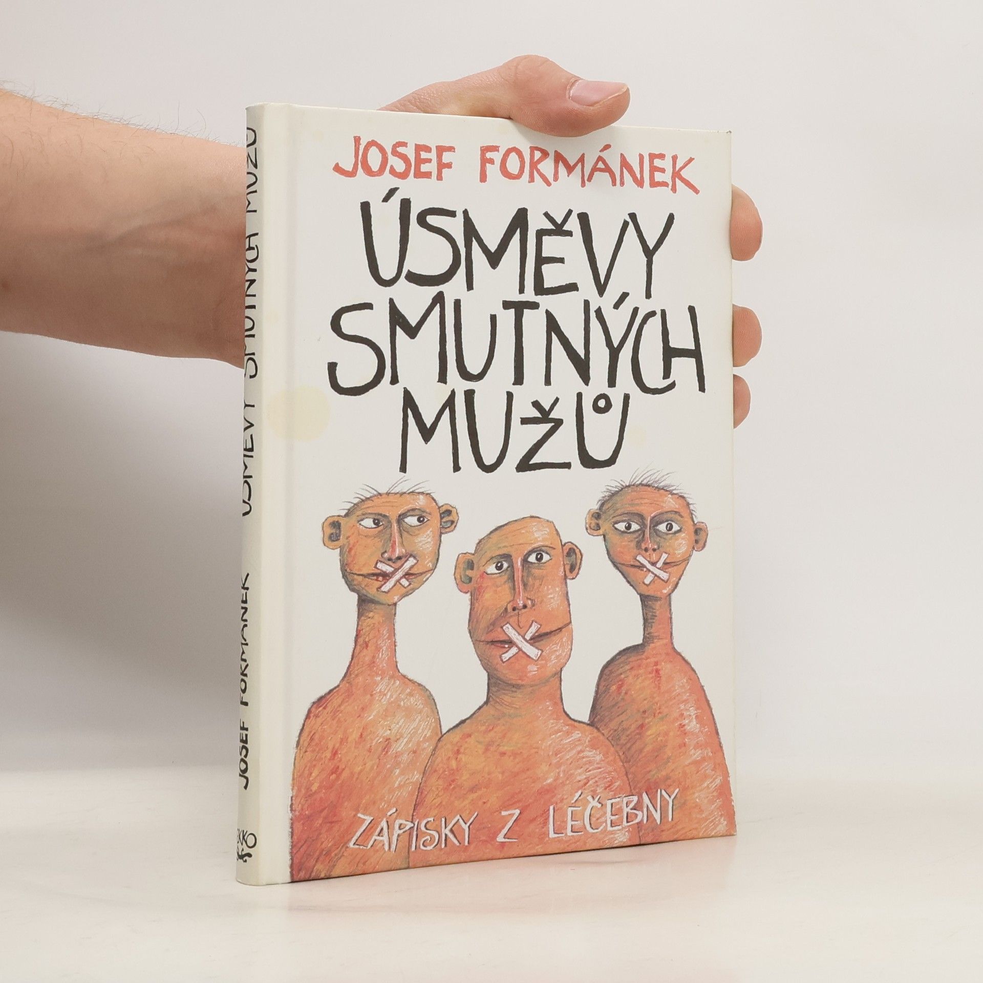 Úsměvy smutných mužů. Zápisky z léčebny