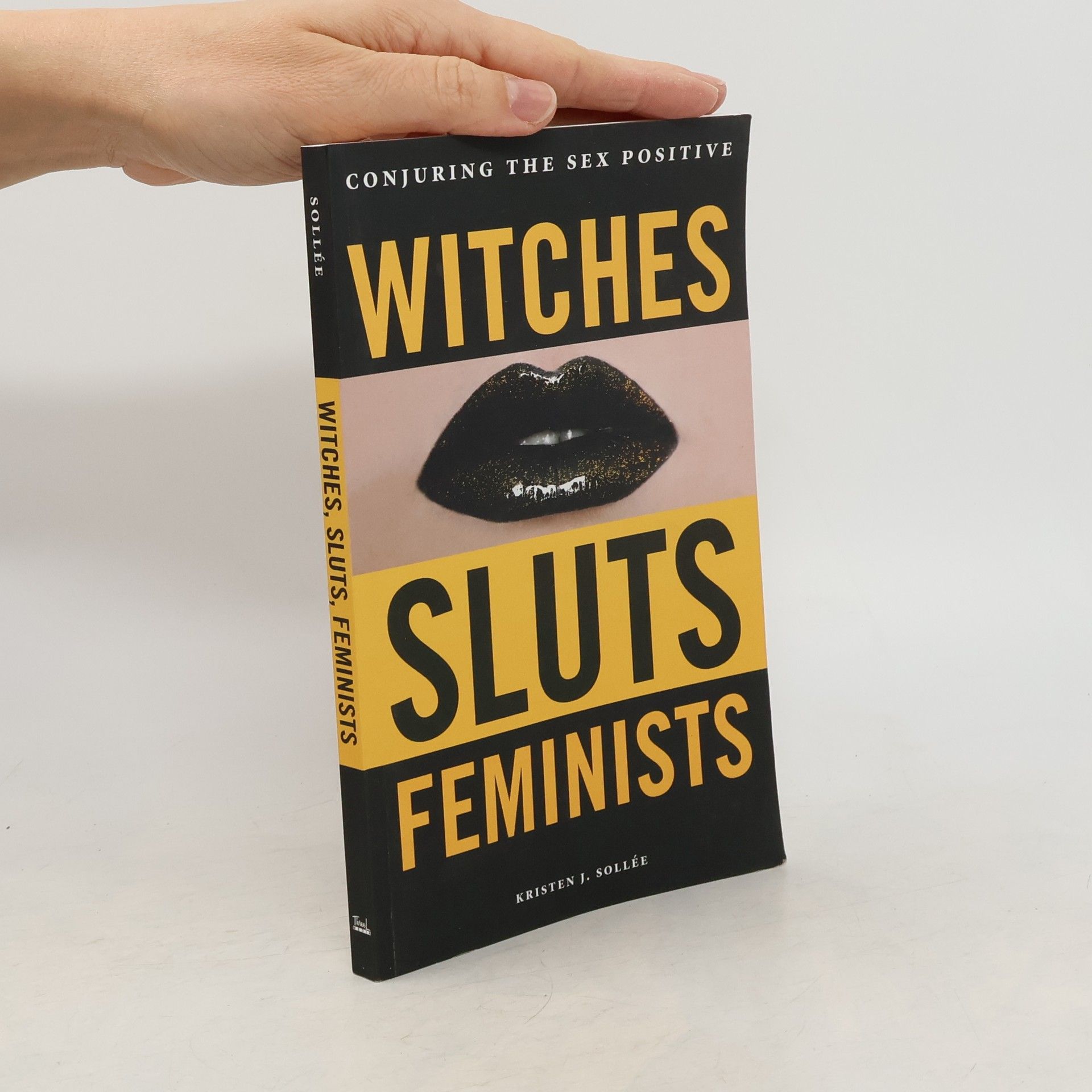 Kristen J. Sollée Witches, Sluts, Feminists