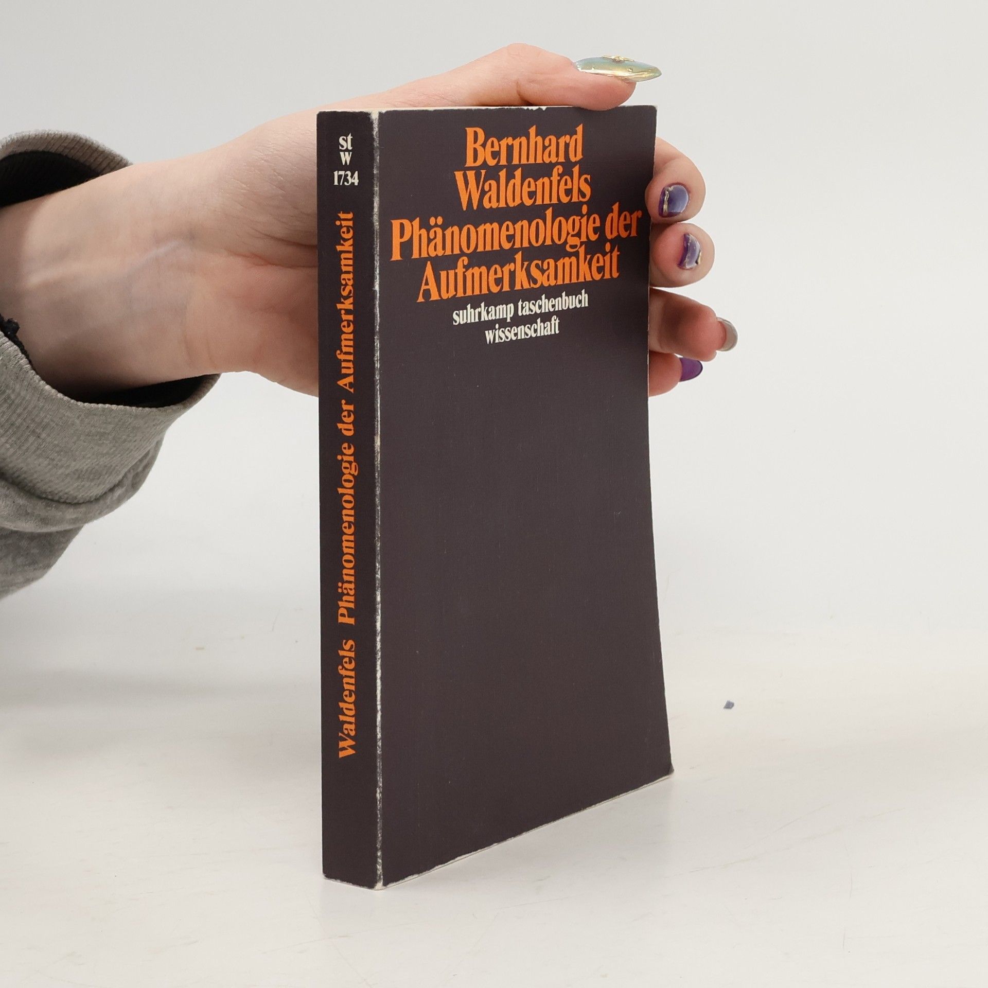 Phänomenologie der Aufmerksamkeit