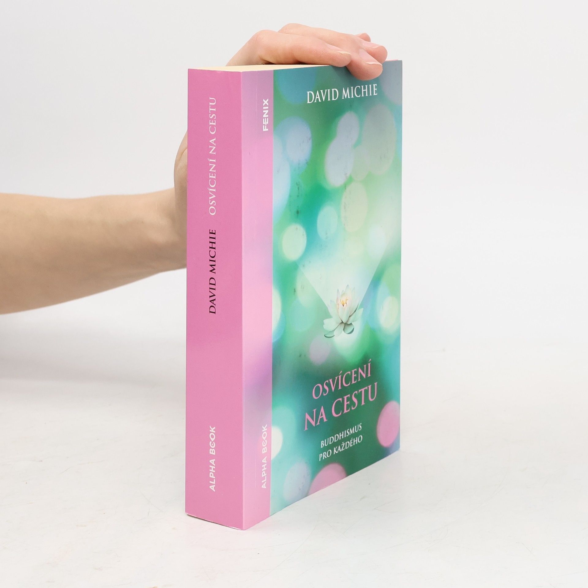 David Michie Osvícení na cestu : buddhismus pro každého