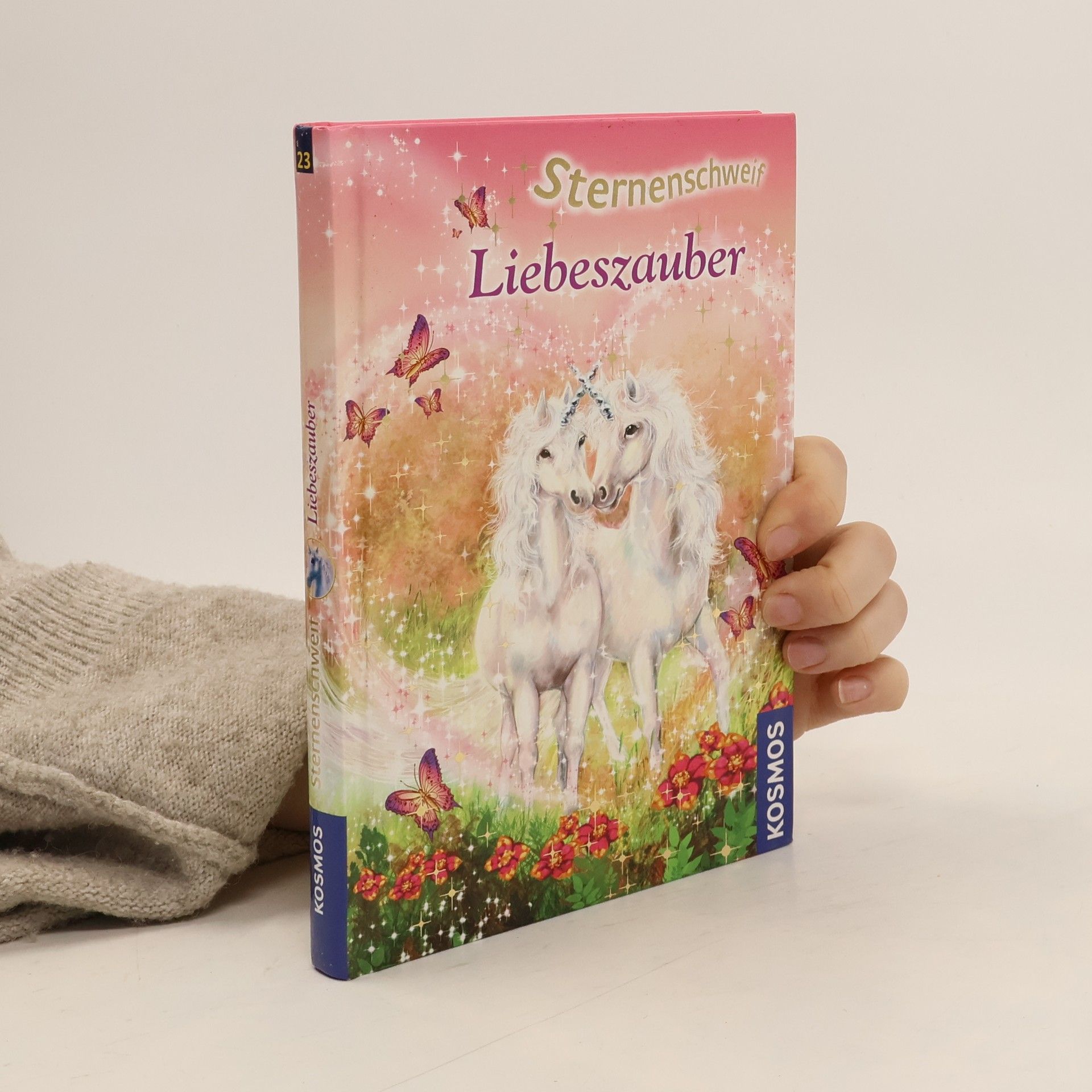 Linda Chapman Liebeszauber