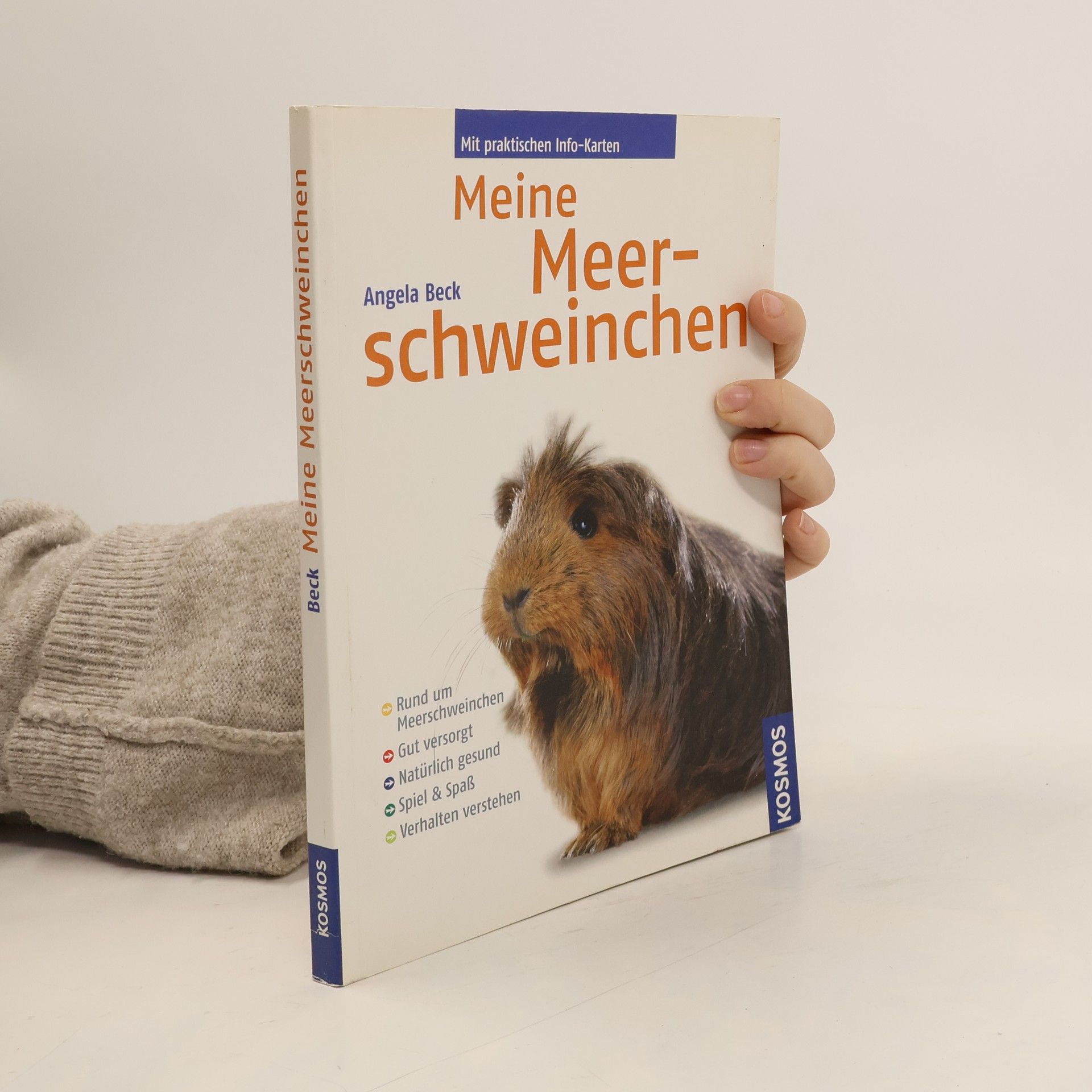 Meine Meerschweinchen