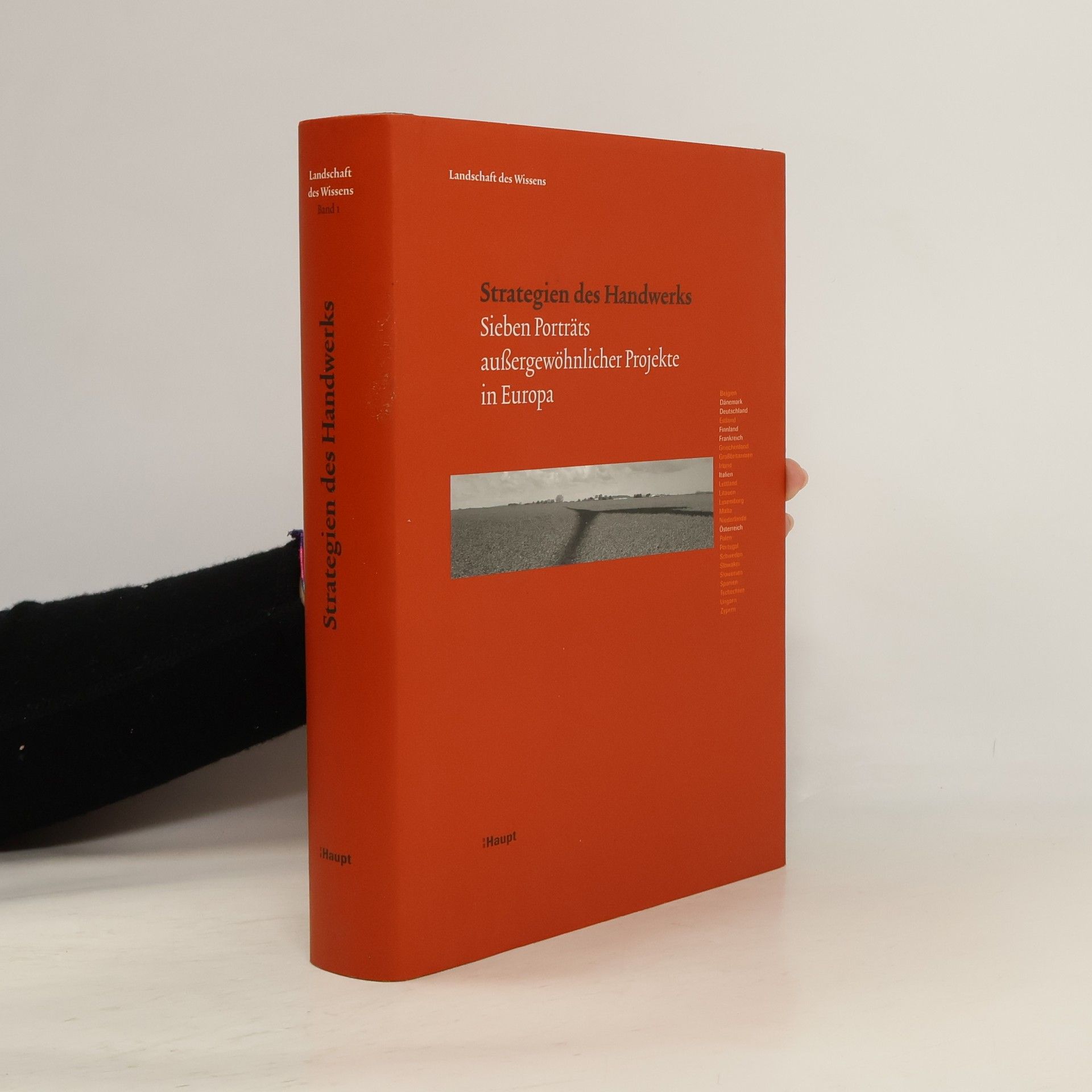 Auteurscollectief Strategien des Handwerks