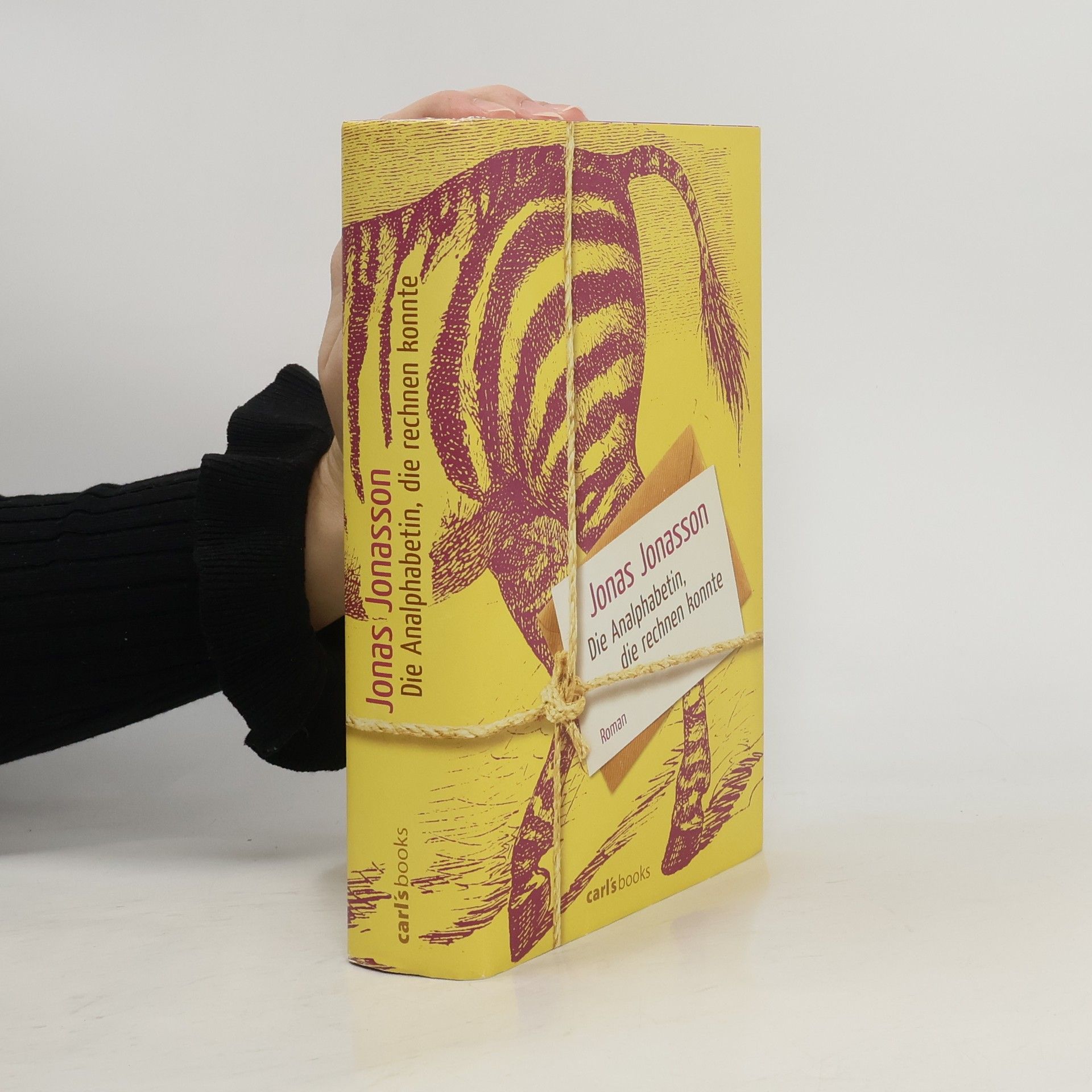 Die Analphabetin, die rechnen konnte