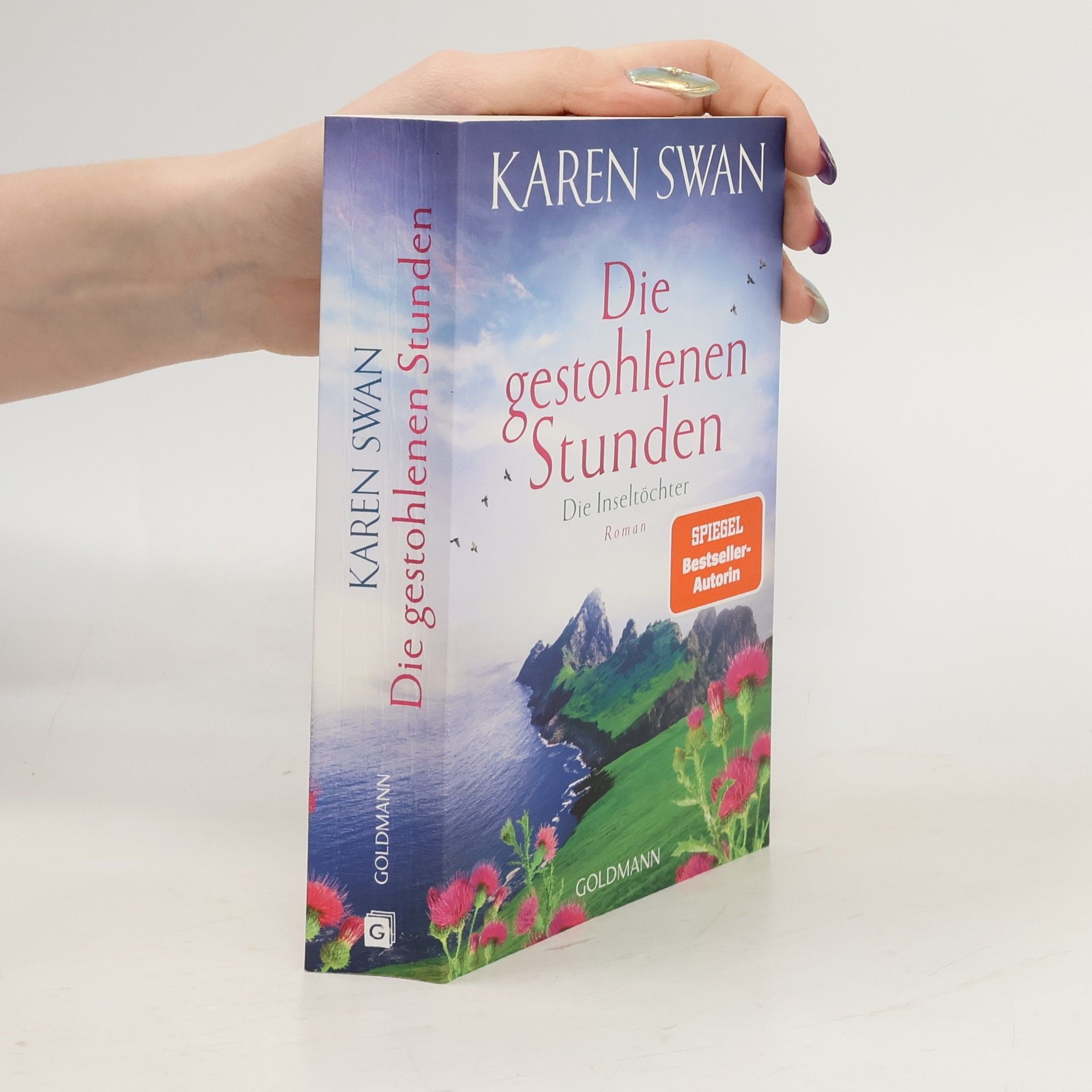Die Inseltöchter - Die gestohlenen Stunden. Roman